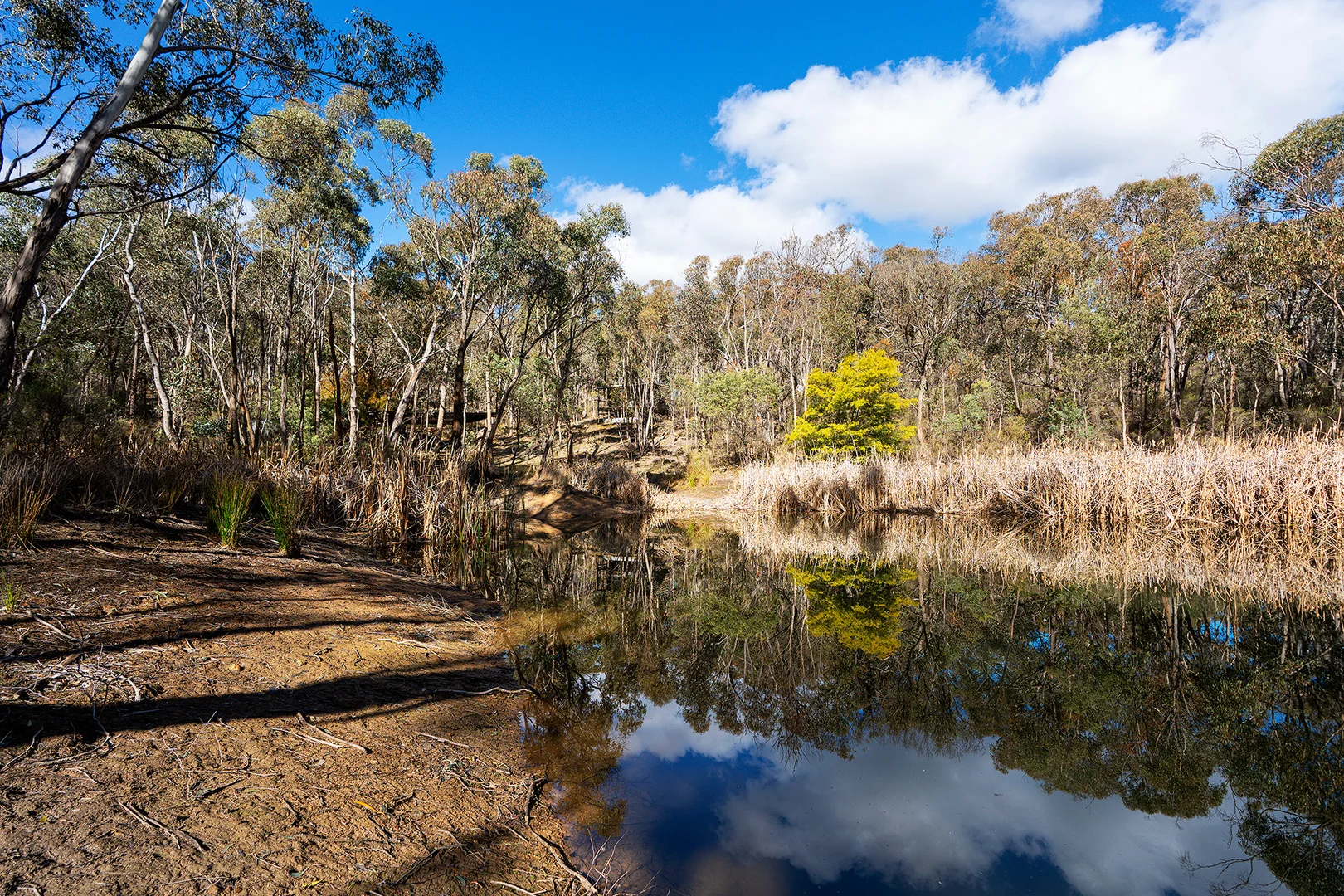Additional image 9 of 132 Nalya Court, Drummond North VIC 3446