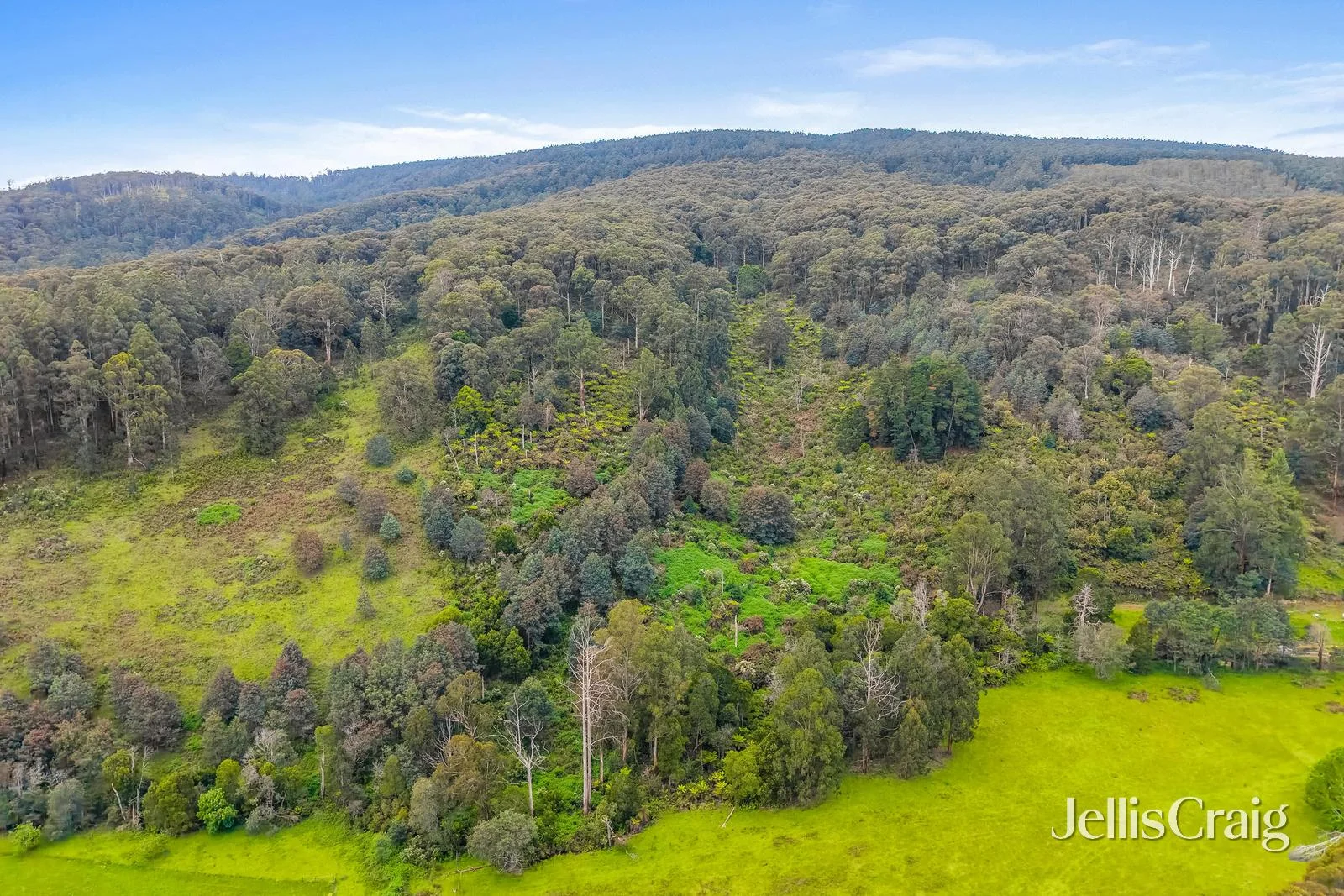 Additional image 4 of 109 & 113 Campbells Creek Road, Castella VIC 3777