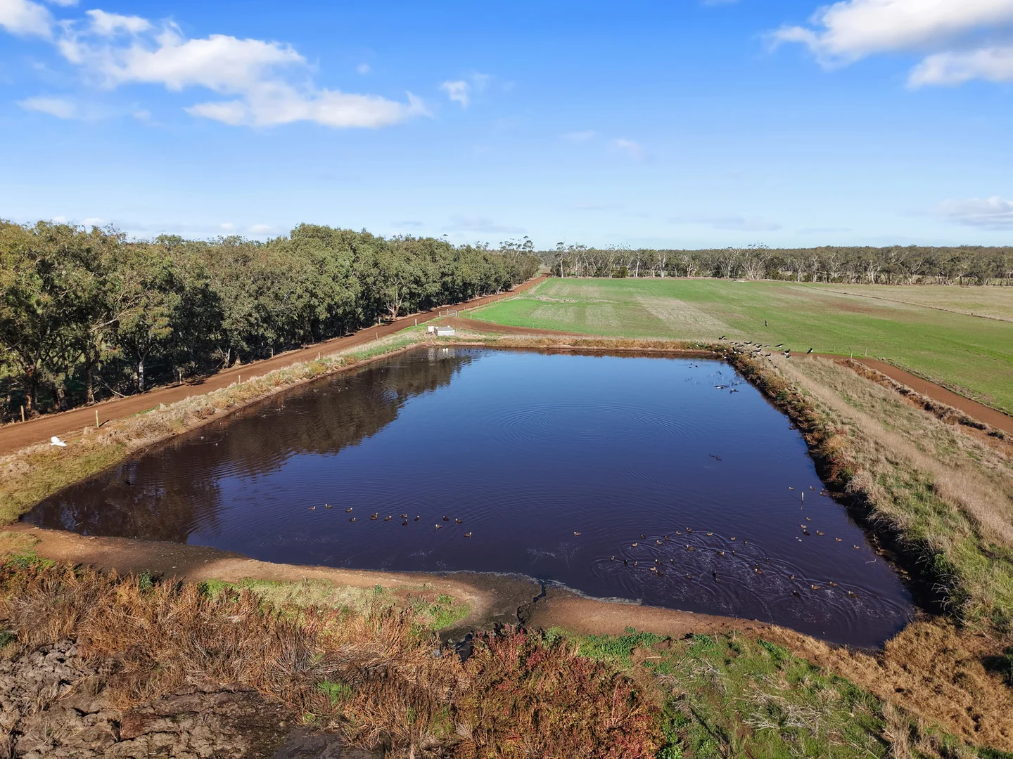 Additional image 42 of 140 Savins Road, Condah VIC 3303