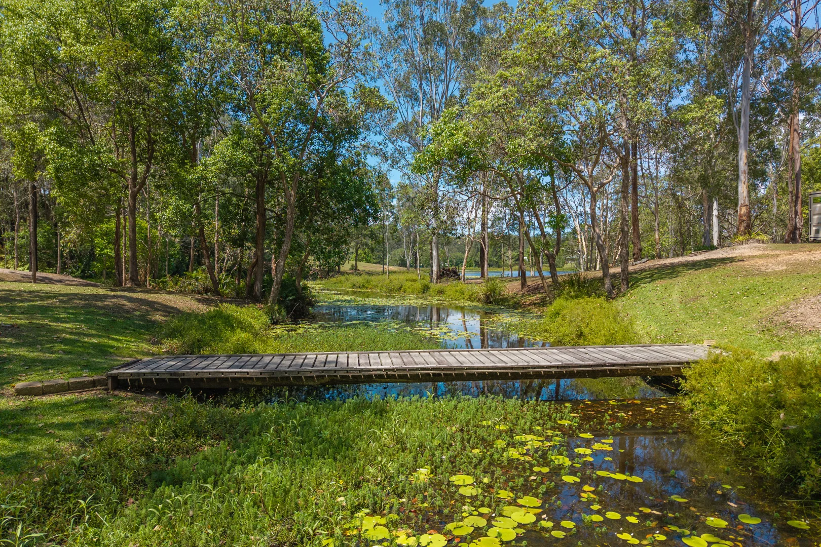 Additional image 33 of 65 Waterside Drive, Wamuran QLD 4512