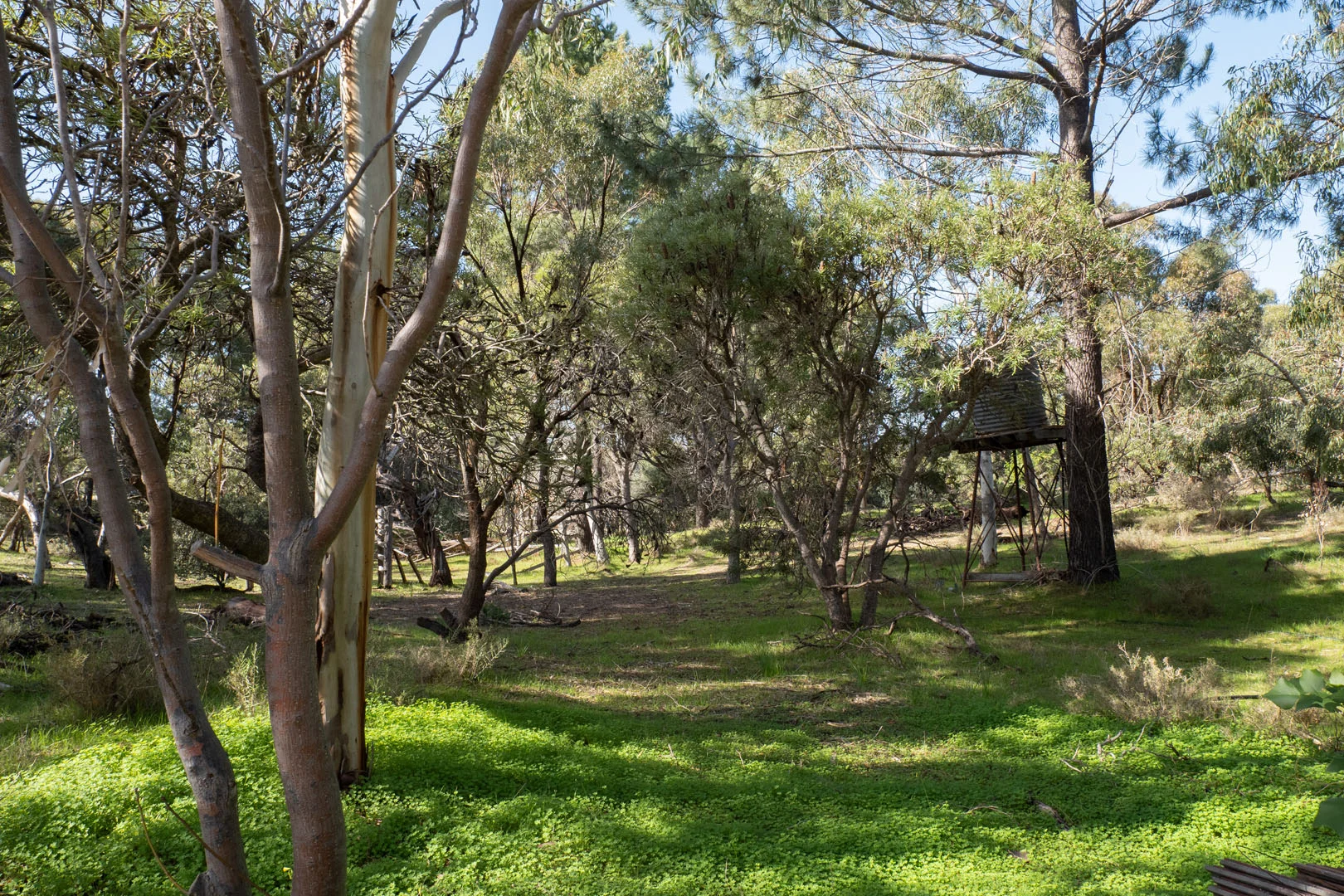 Additional image 19 of 1859 Mandurah Road, Karnup WA 6176