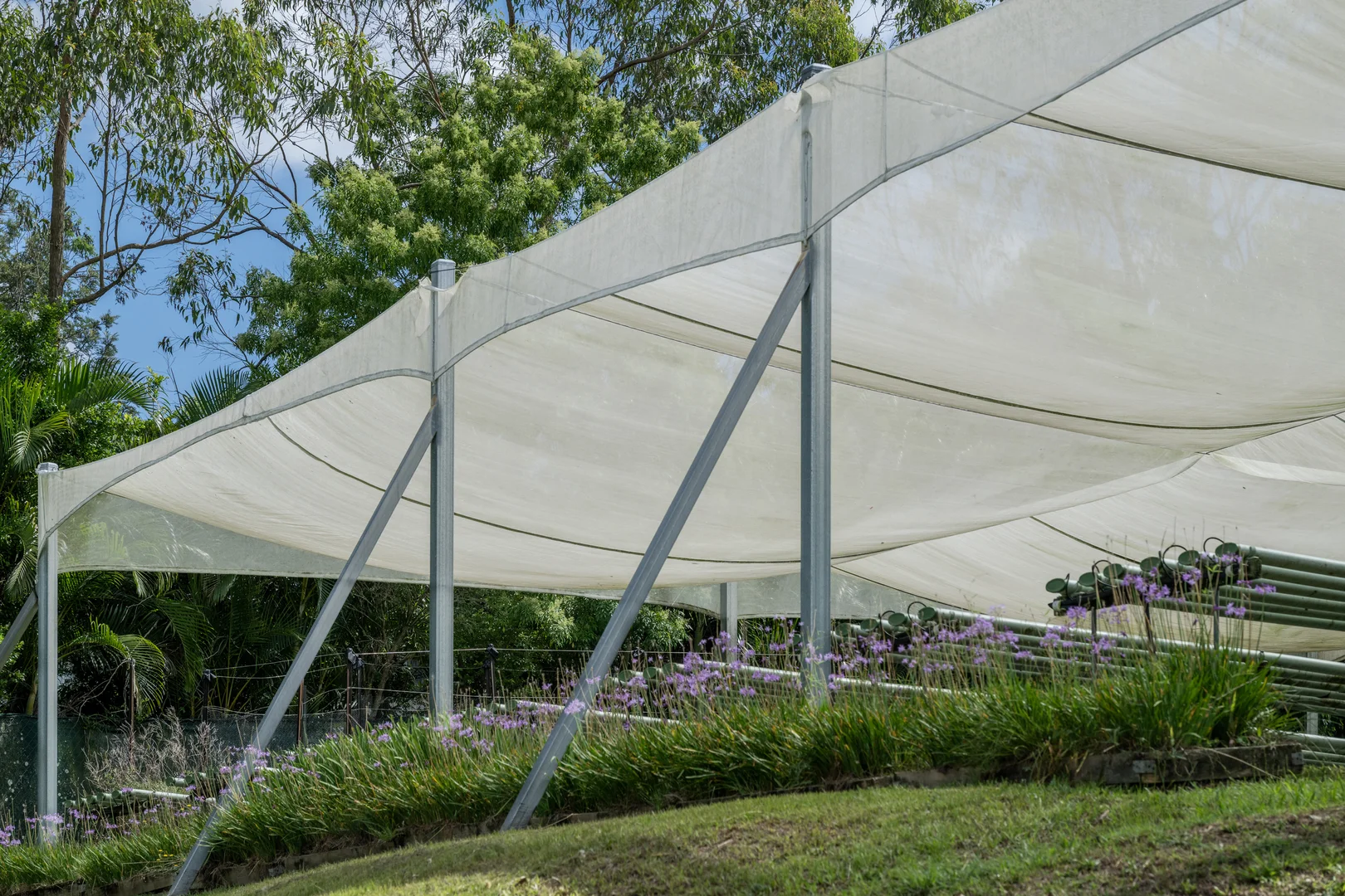 Additional image 3 of 44 Glen Nathan Court, Mount Nathan QLD 4211