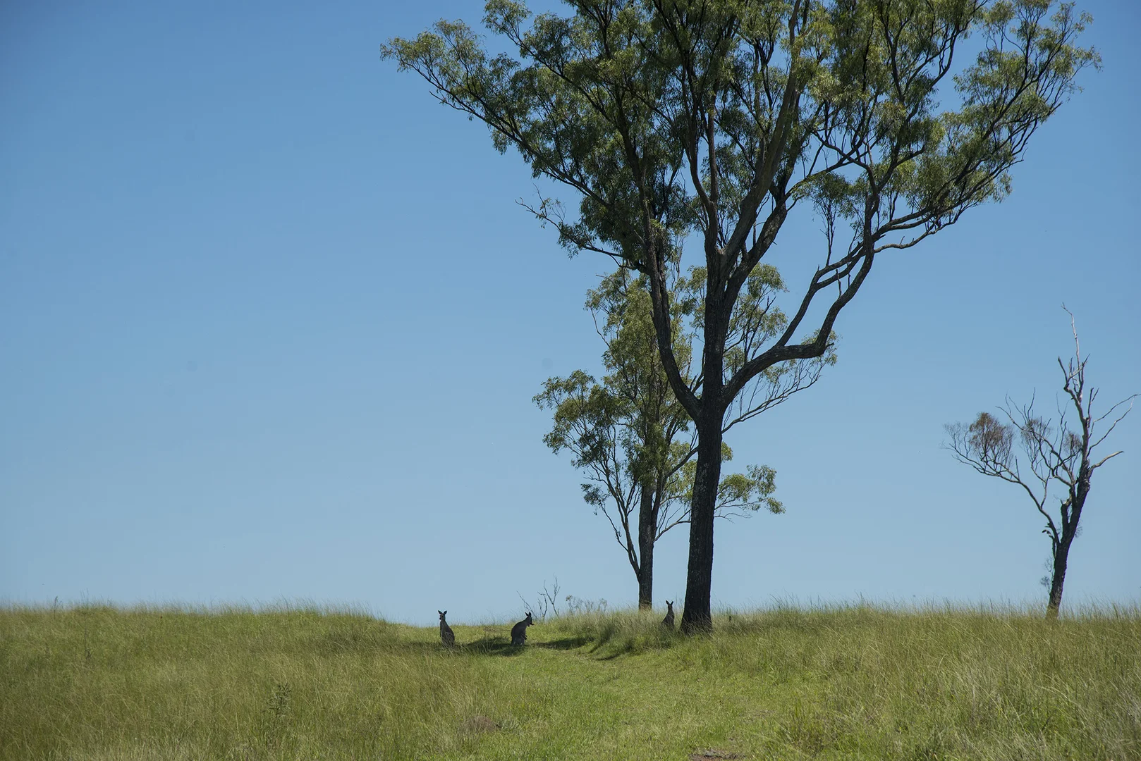 Additional image 8 of Corner Tralee & Waines Road, Mount Walker West QLD 4340