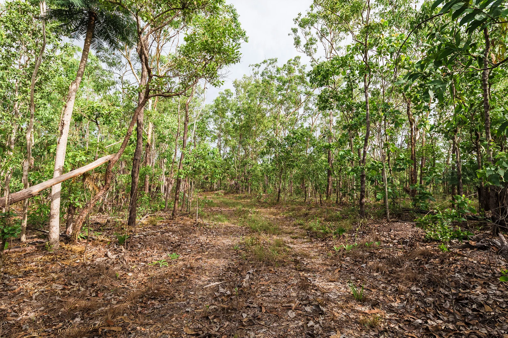 Additional image 10 of 56 Dowling Rd, Virginia NT 0834