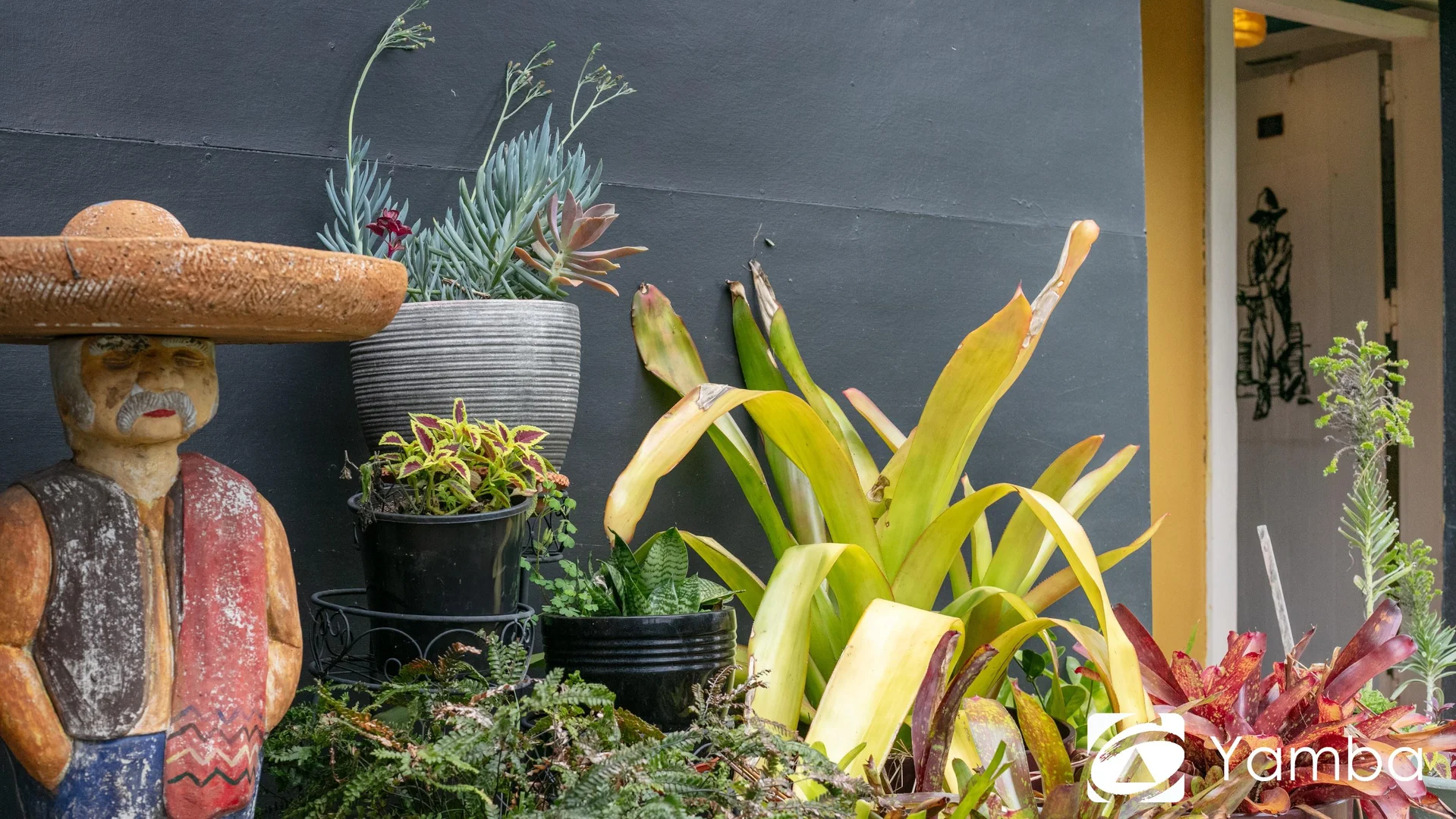 Additional image 30 of 18 Morpeth Street, Harwood NSW 2465