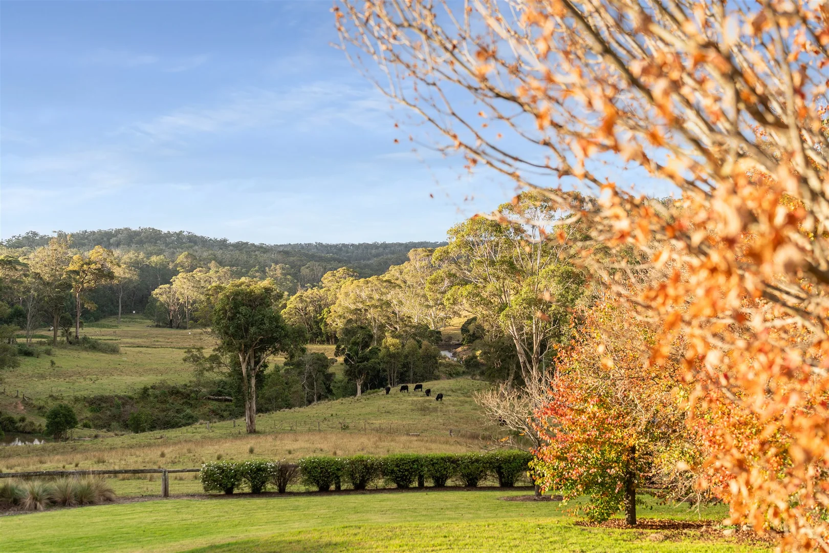 Additional image 32 of 460 Black Spring Road, High Range NSW 2575