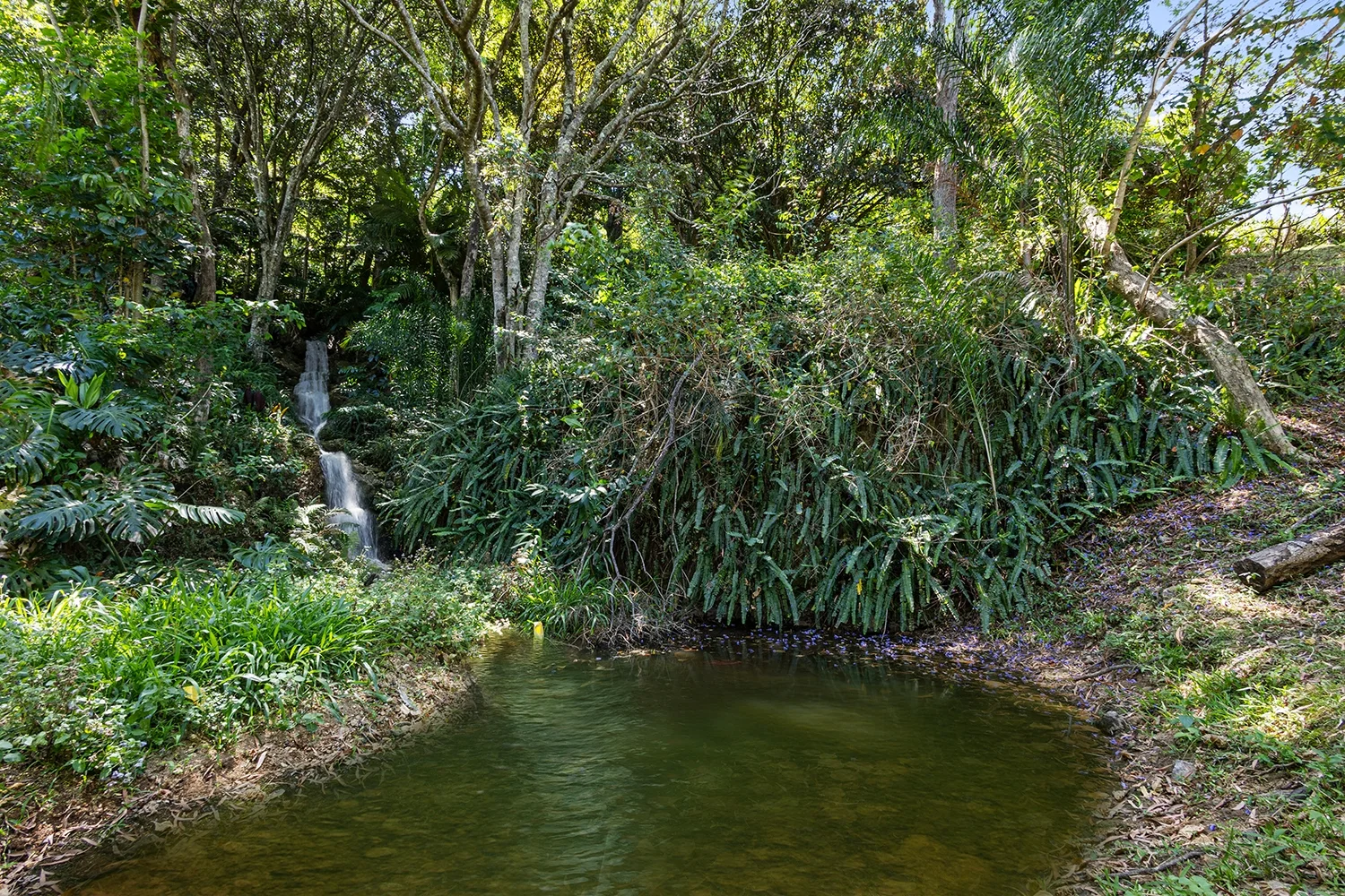 Additional image 22 of 93 Thomson Valley Rd, Valdora QLD 4561