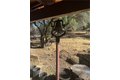 Additional image 26 of 28923 Highway 41, Coarsegold, CA, 93614