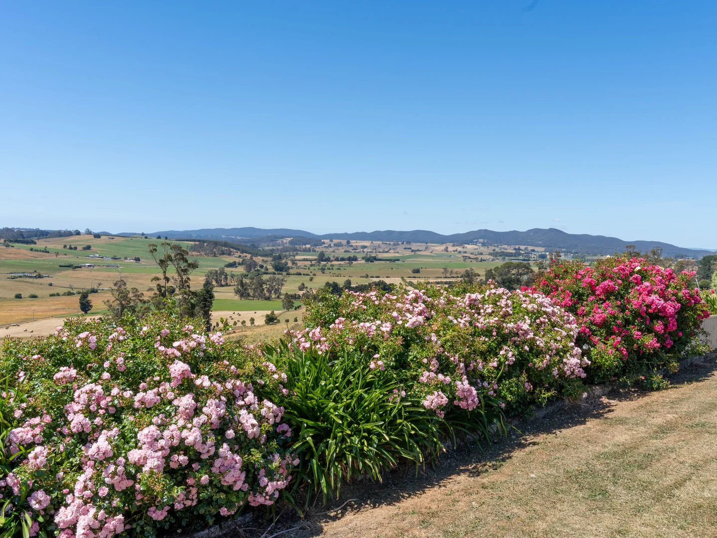 Additional image 42 of 123 Careys Road, West Kentish TAS 7306