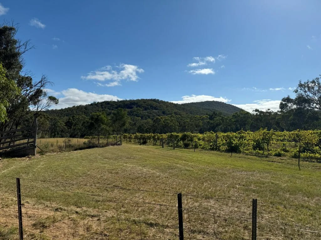 Additional image 14 of 149 Horans Gorge Rd, Fletcher QLD 4381