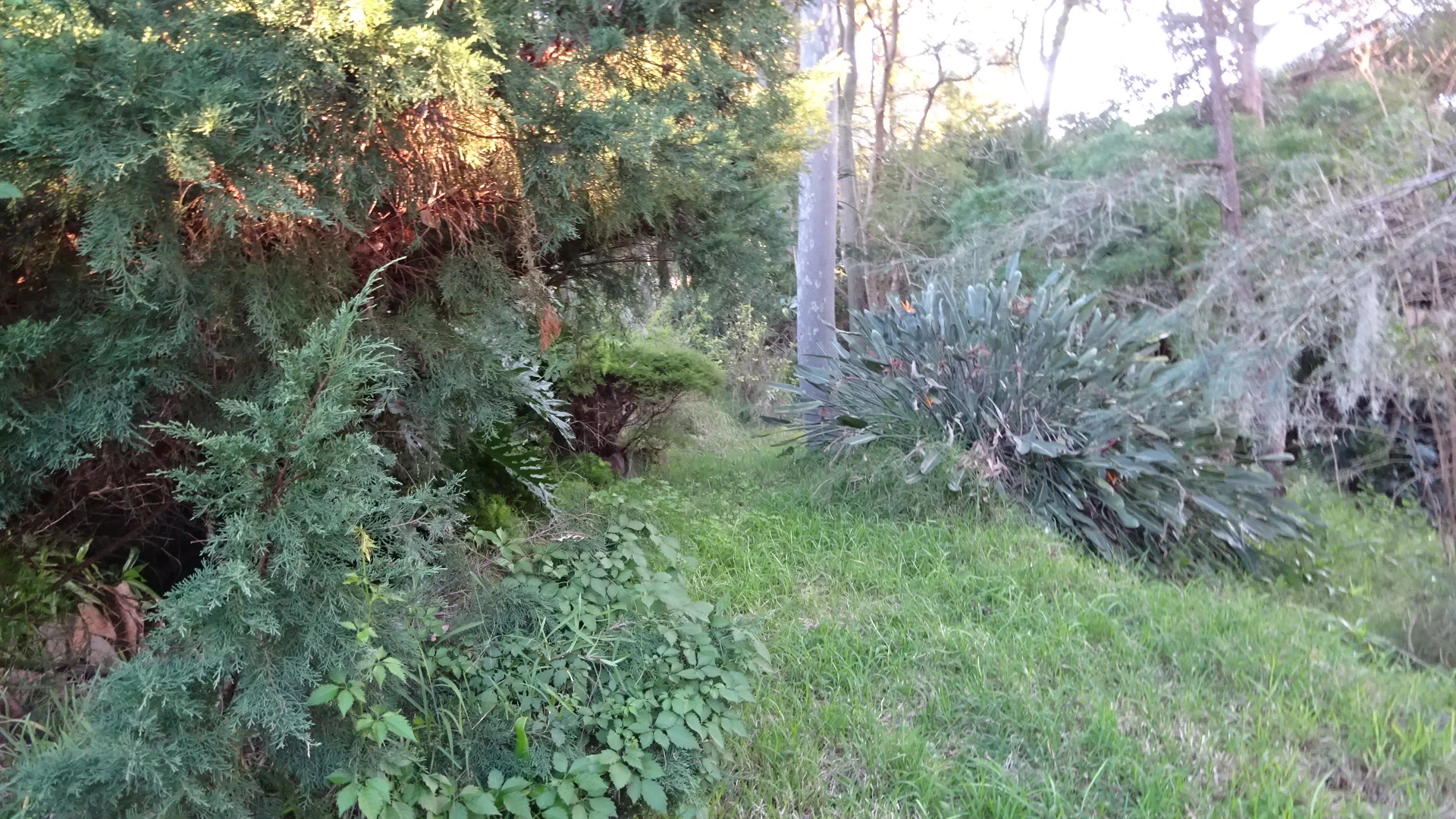 Additional image 7 of 7 Amelia Street, Carey Bay NSW 2283