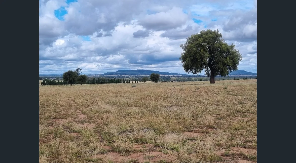 Additional image 21 of Tooraweenah NSW 2817