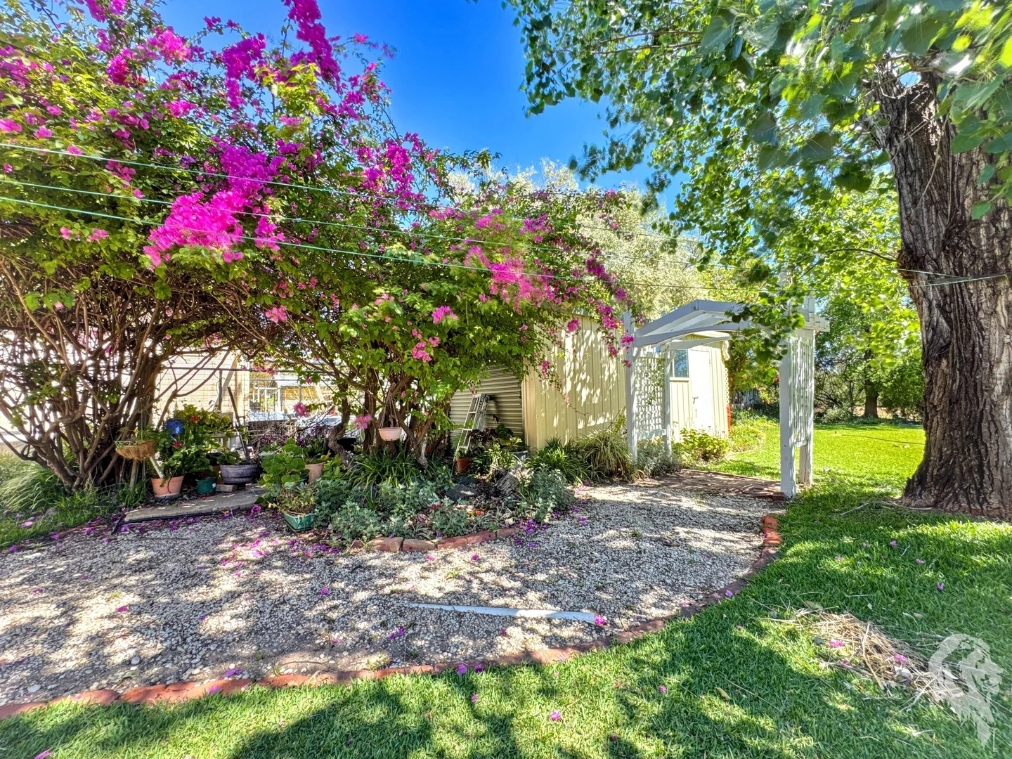 Additional image 26 of 115 Gibbons Street, Narrabri NSW 2390