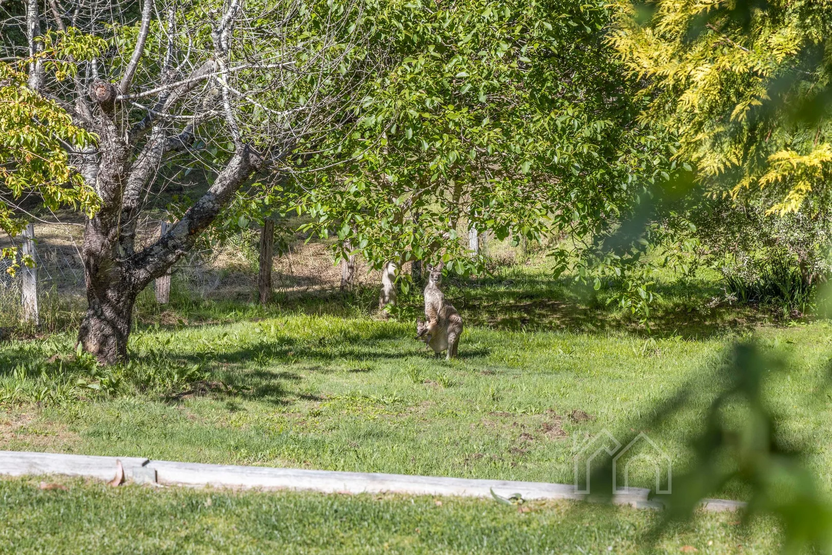 Additional image 27 of 40 Main Road, Hepburn Springs VIC 3461