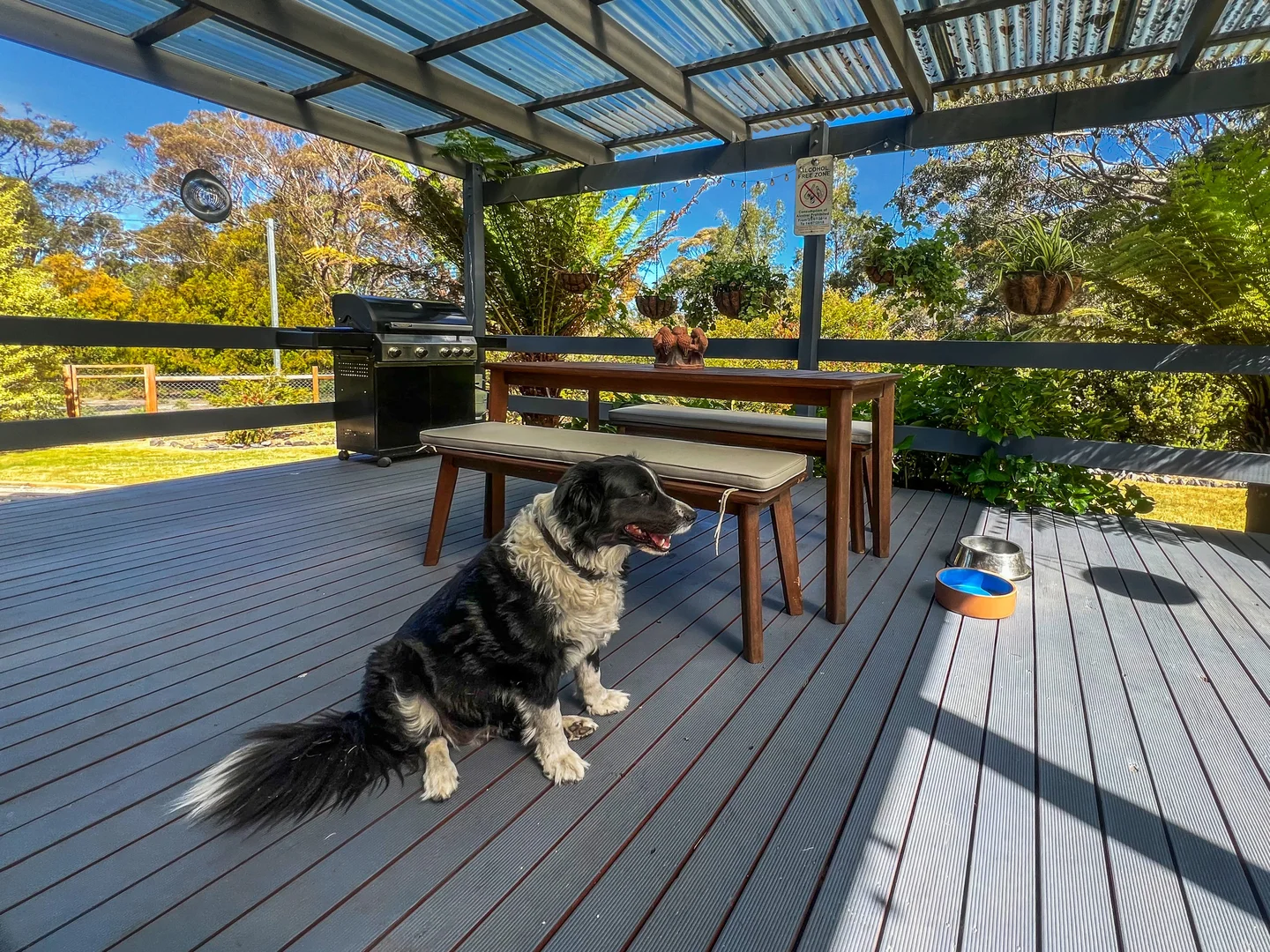 Additional image 31 of 20 Nicks Close, St Helens TAS 7216