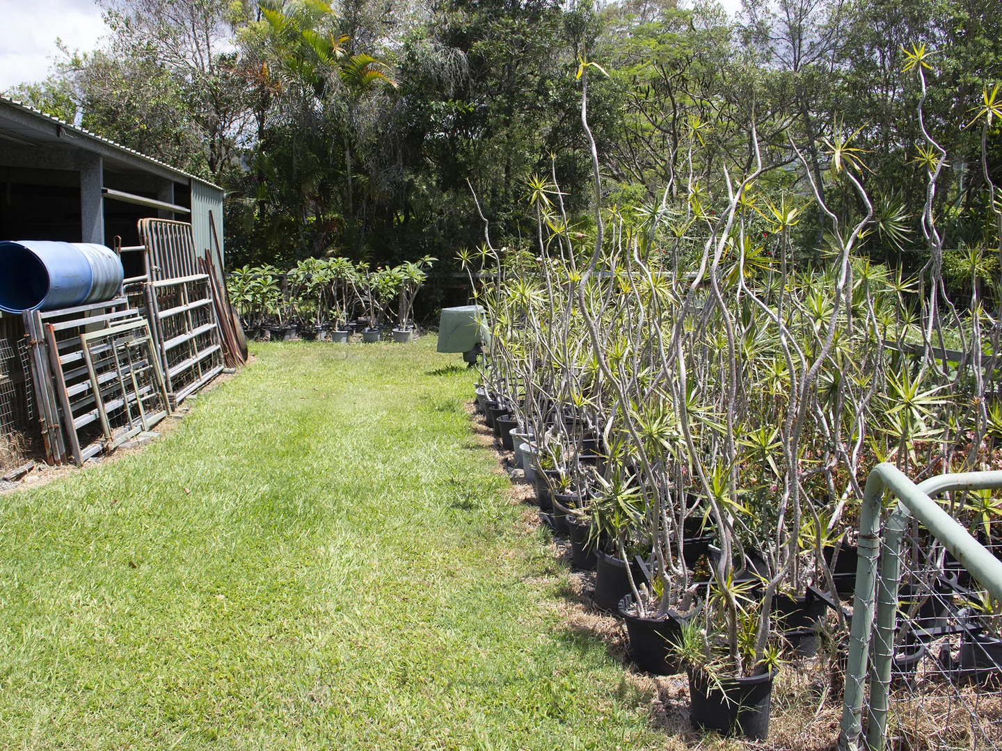 Additional image 11 of 400 Chilcotts Road, Chillingham NSW 2484