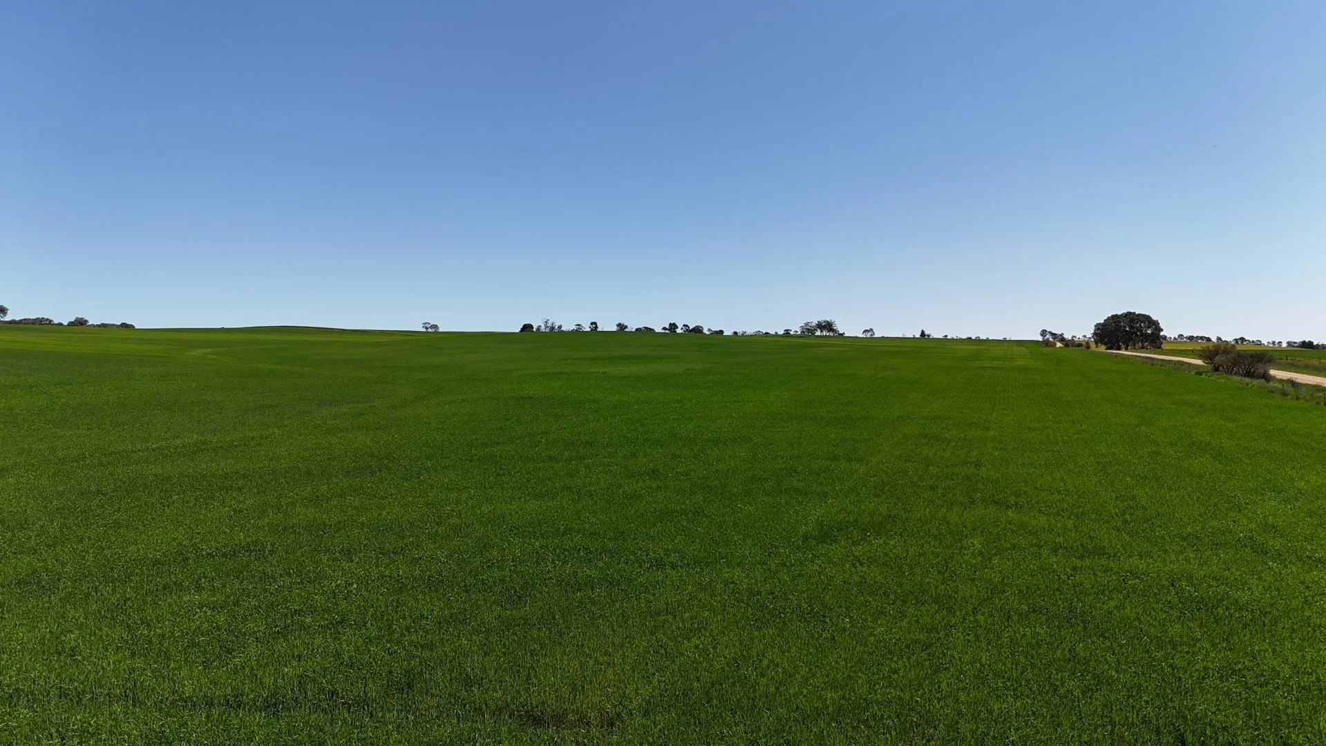 Additional image 3 of 'Ryans' Archie Road, Murray Town SA 5481