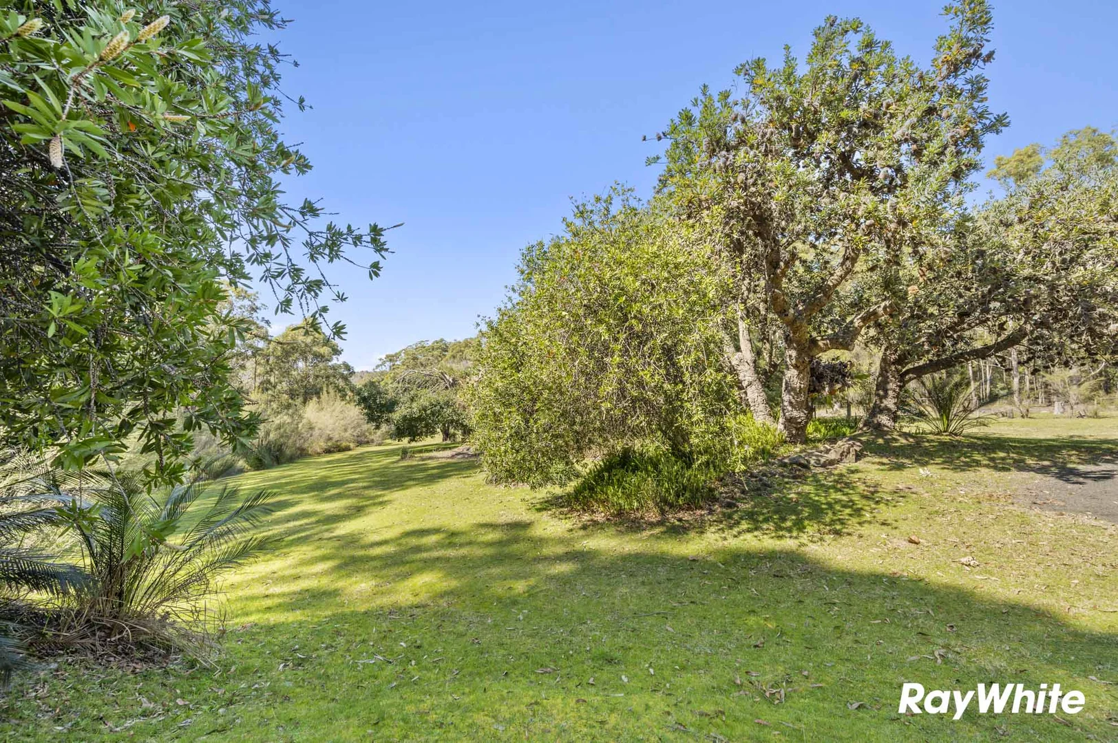 Additional image 14 of 49 Spring Place, Bingie NSW 2537