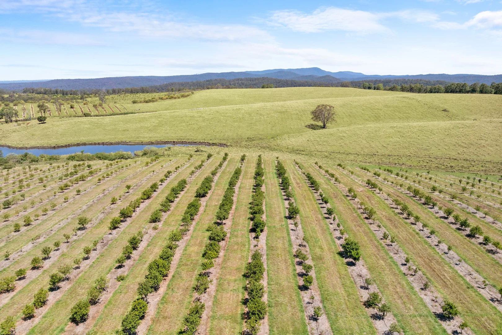 Additional image 19 of 1255 Bulmers Road, Hogarth Range NSW 2469
