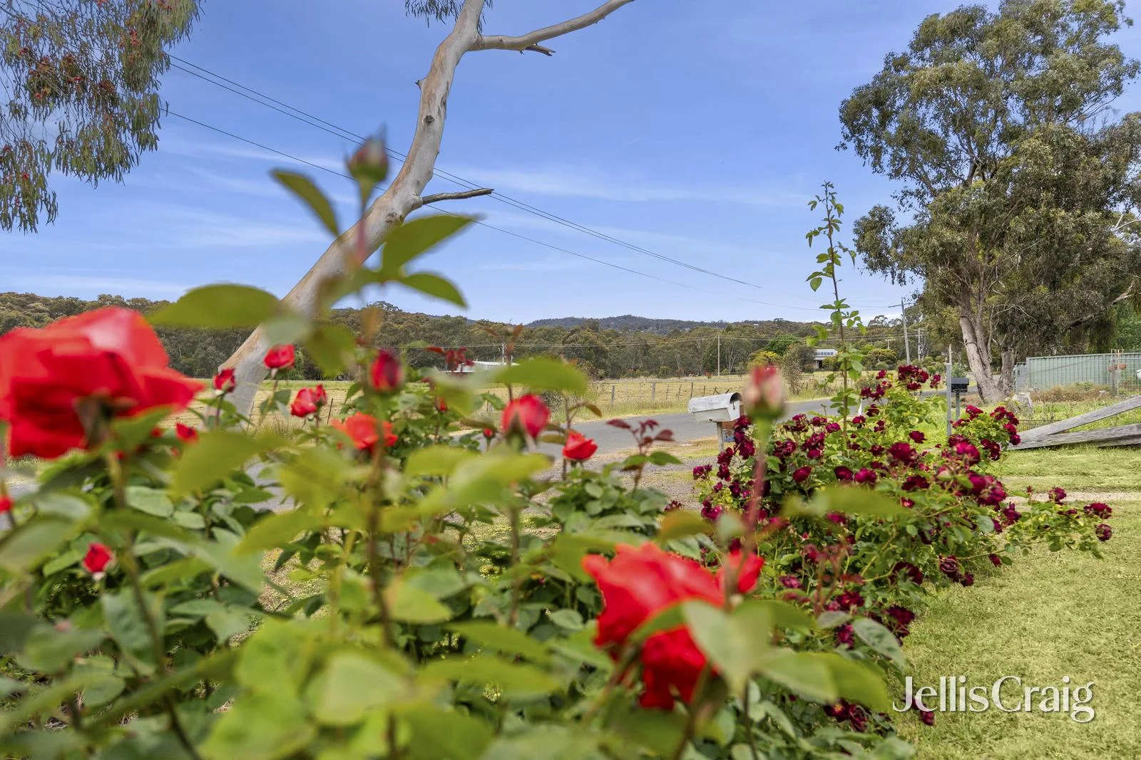 Additional image 12 of 34 Blackjack Road, Harcourt VIC 3453