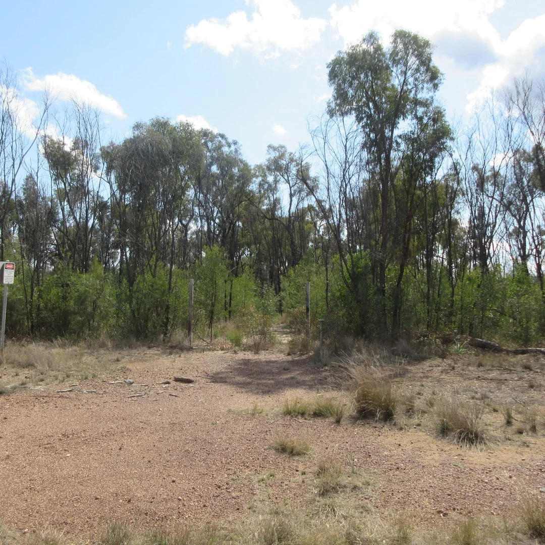 Lot 26 Mary Road, Tara QLD 4421