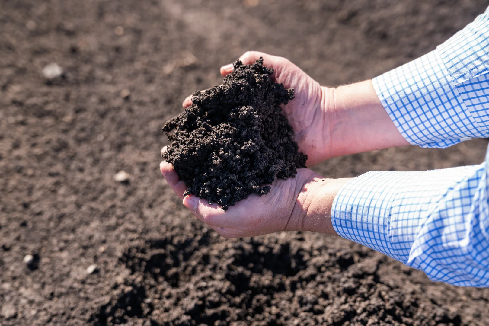 Additional image 7 of "Westview" 189 Toowoomba-Karara Road, Finnie QLD 4350