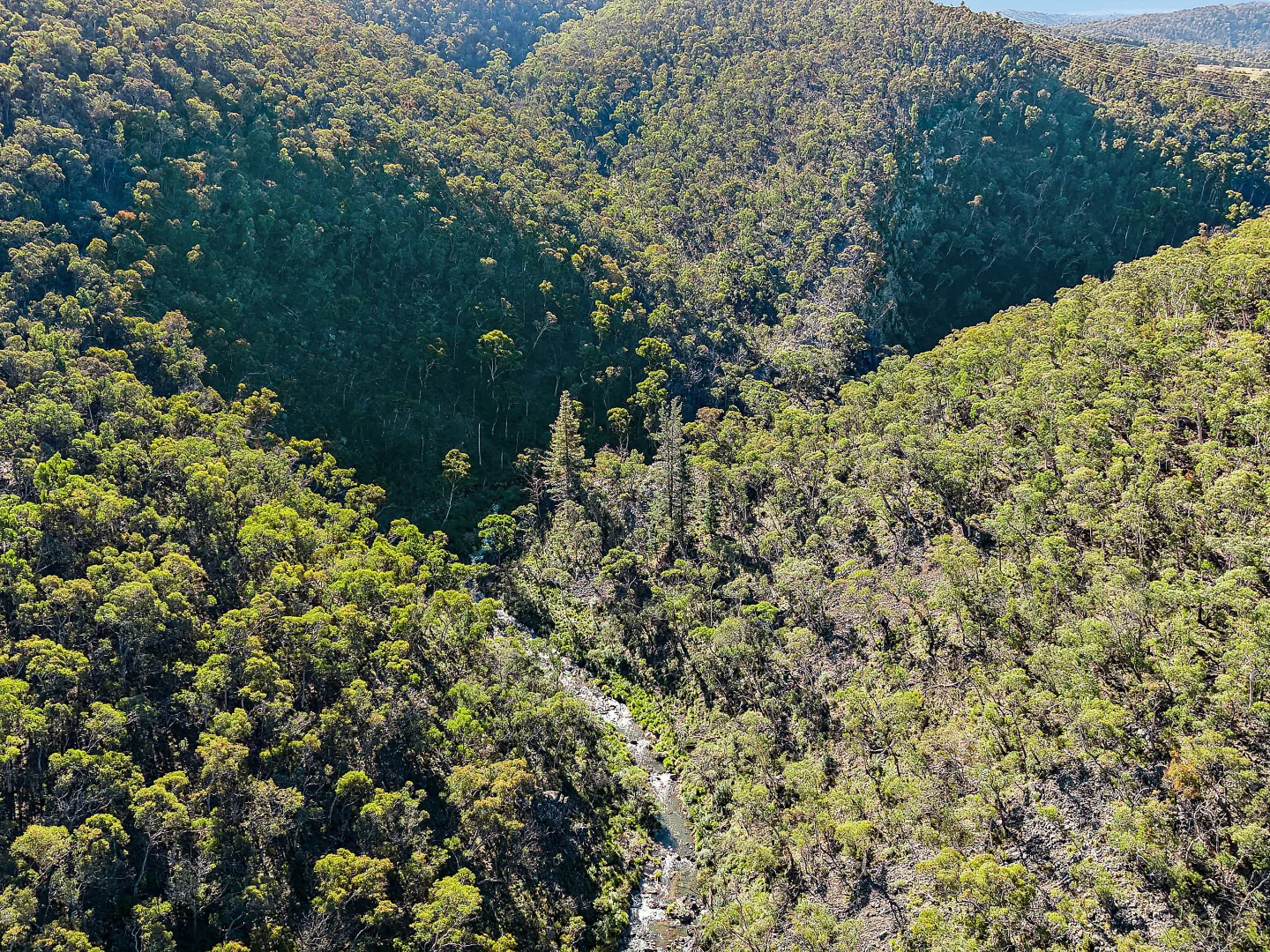 Additional image 3 of 94 Oakey Forest Road, Lithgow NSW 2790