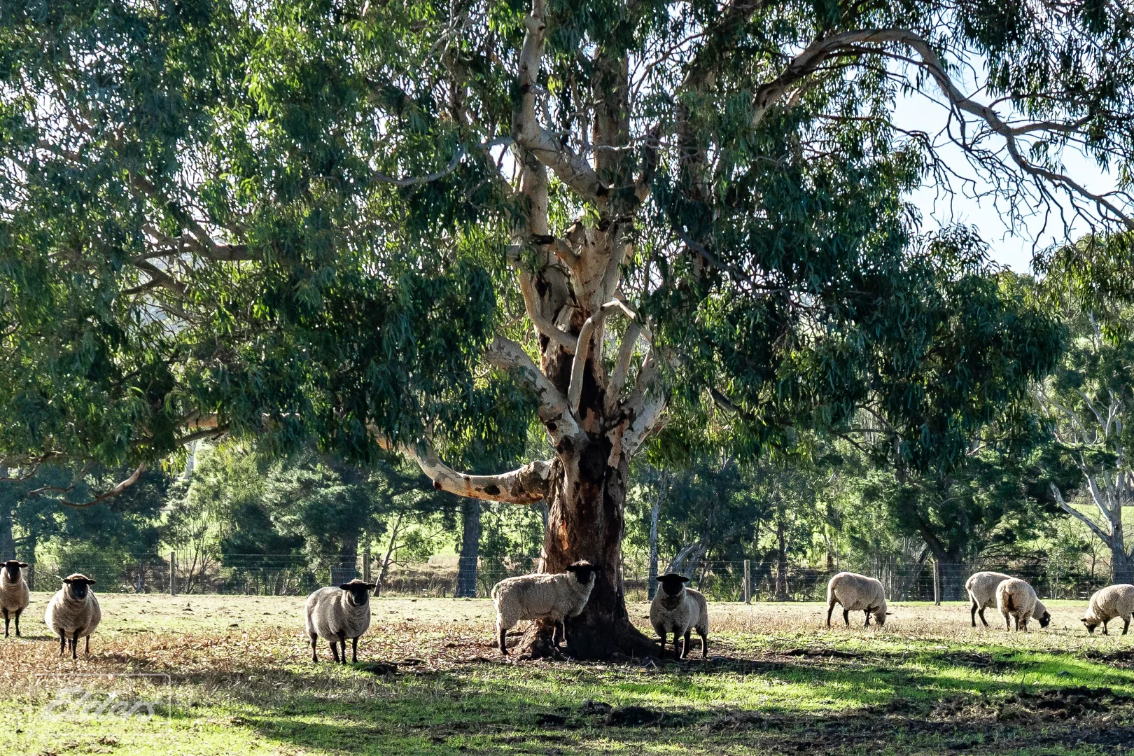 Additional image 35 of Lower Inman Valley SA 5211