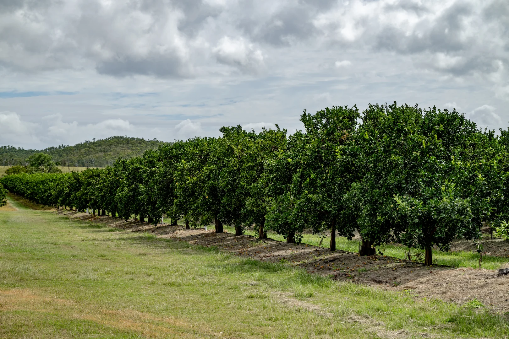 Additional image 30 of 100 Sandersons Lane, Mundubbera QLD 4626