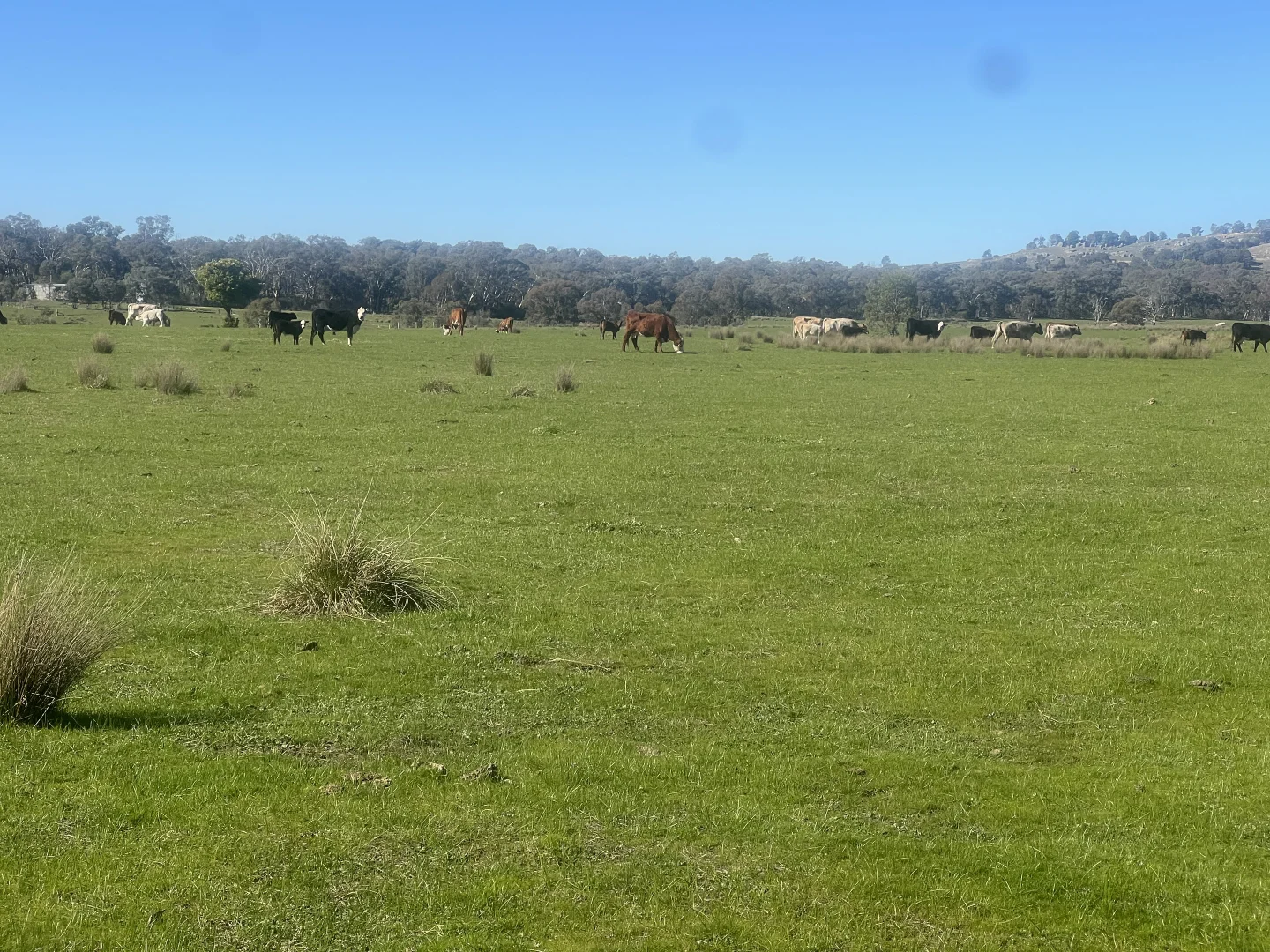 Additional image 22 of Cheesley Gate Road, Indigo Valley VIC 3688
