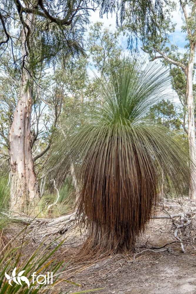 Additional image 8 of 954 Killora Road, North Bruny TAS 7150