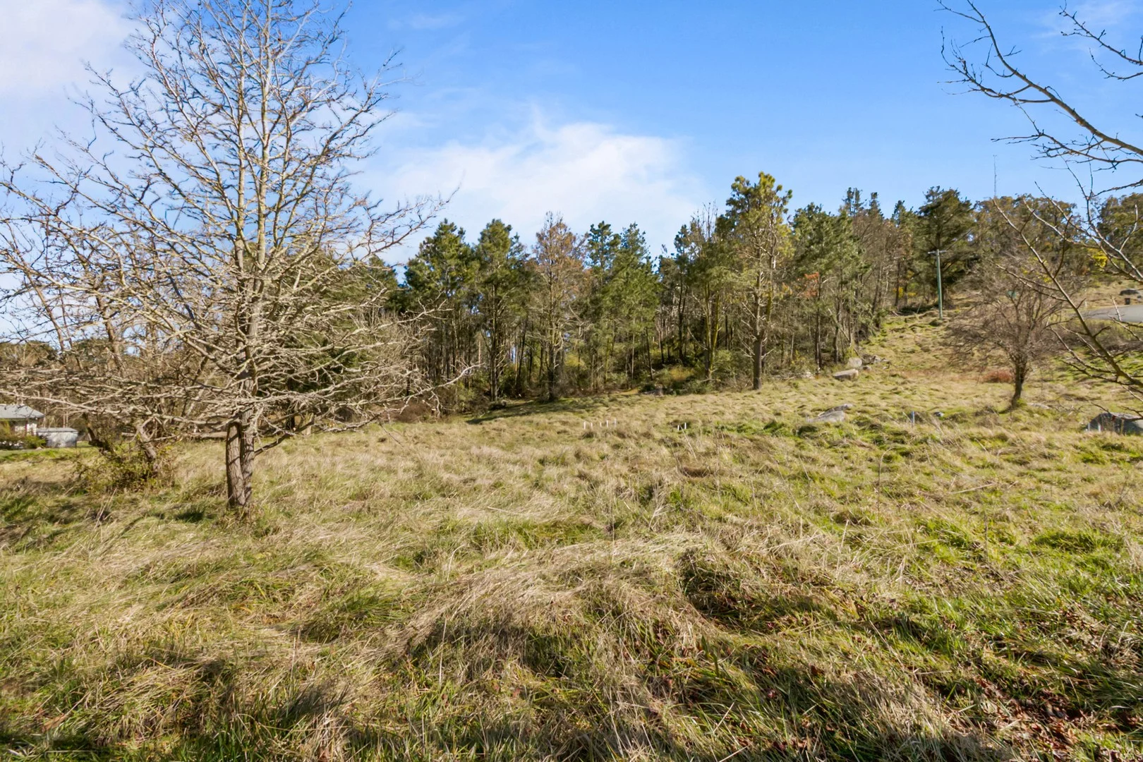 Additional image 5 of 72 Hill Street, Uralla NSW 2358