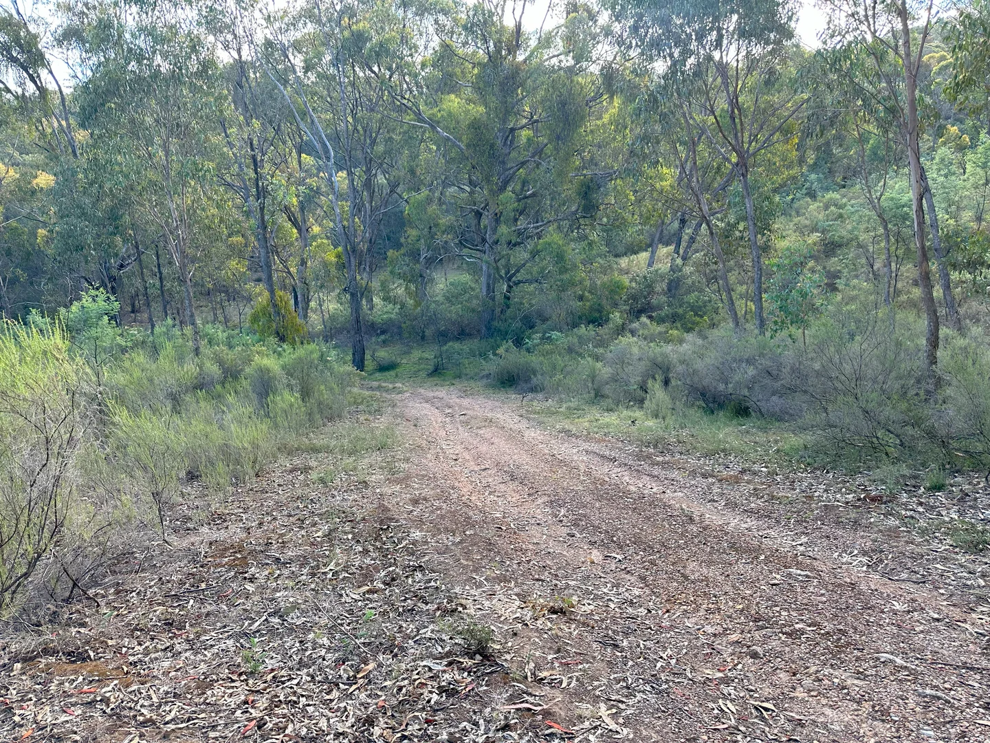 Additional image 18 of Lot 2 Kentucky Road, Neville NSW 2799