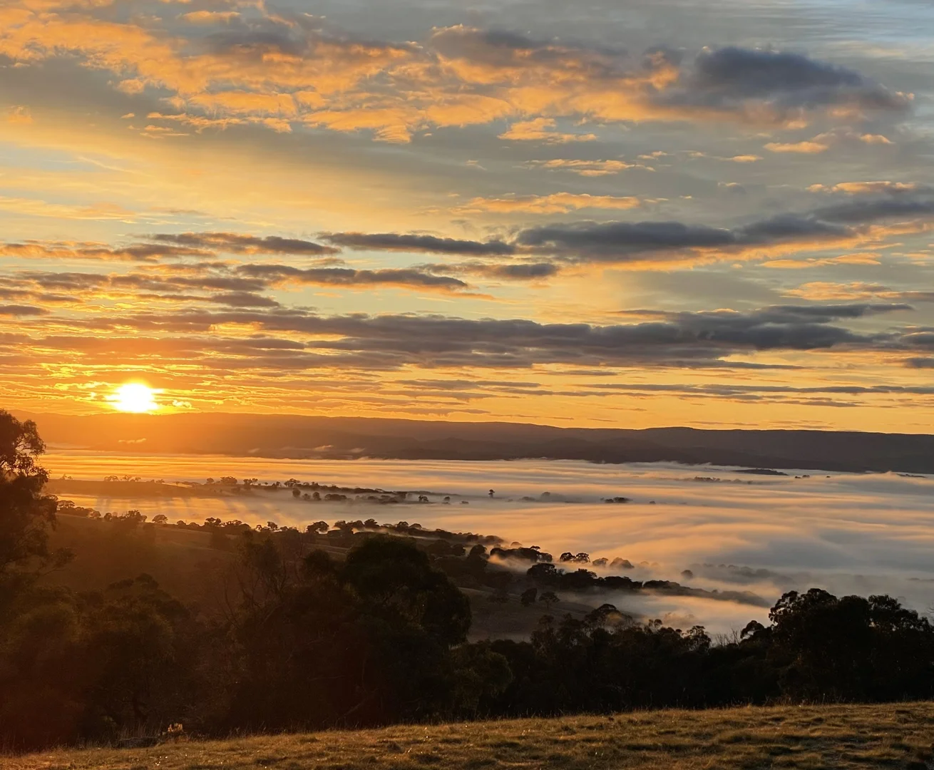 Additional image 27 of Mount Rankin NSW 2795