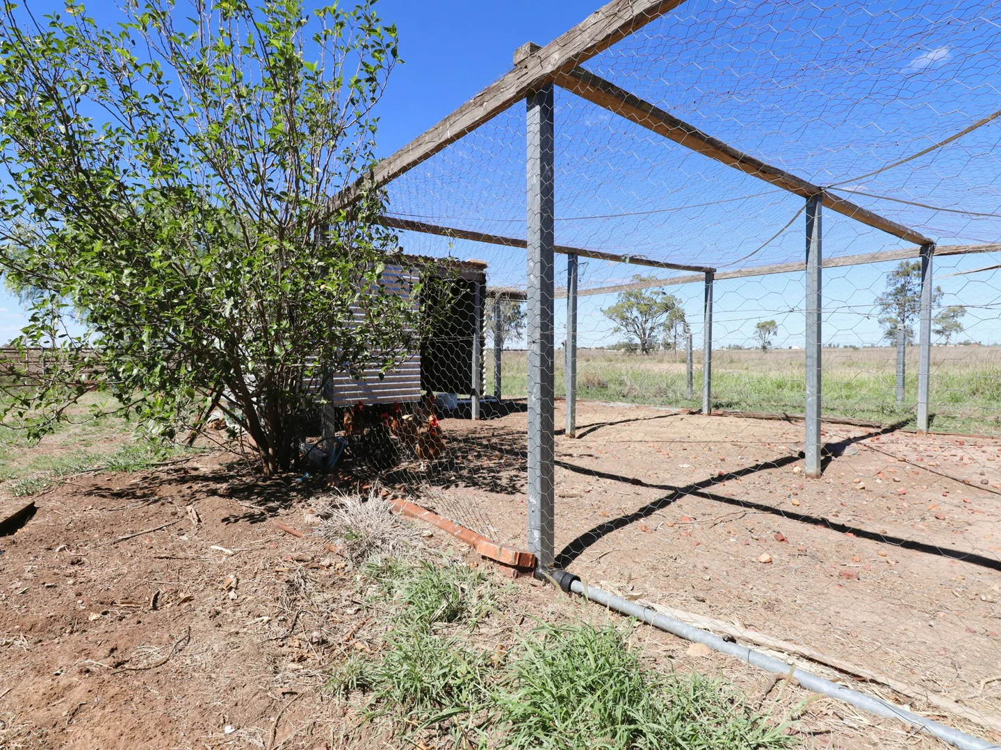 Additional image 27 of 260 Geoghegan Road, Roma QLD 4455