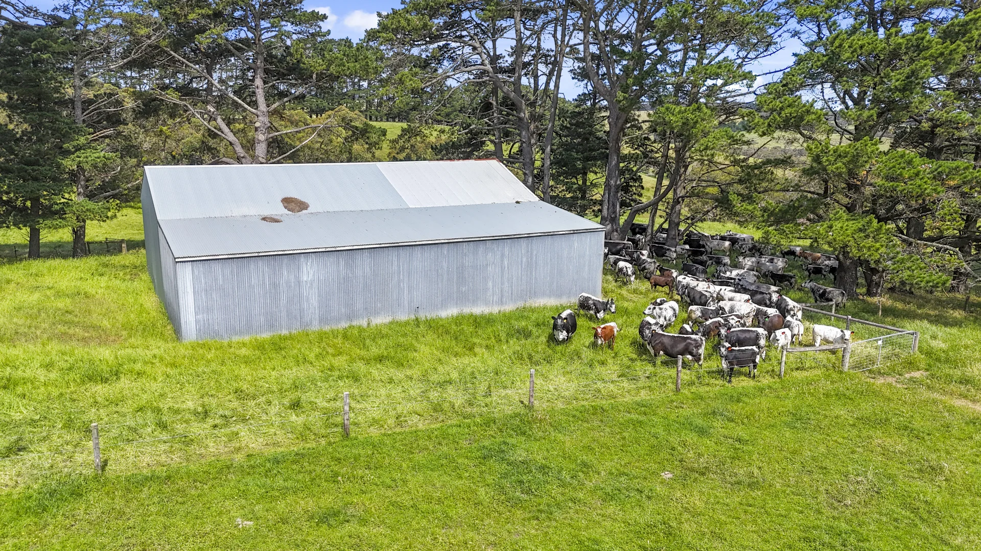 Additional image 20 of 137 Faggotter Road, Myponga SA 5202