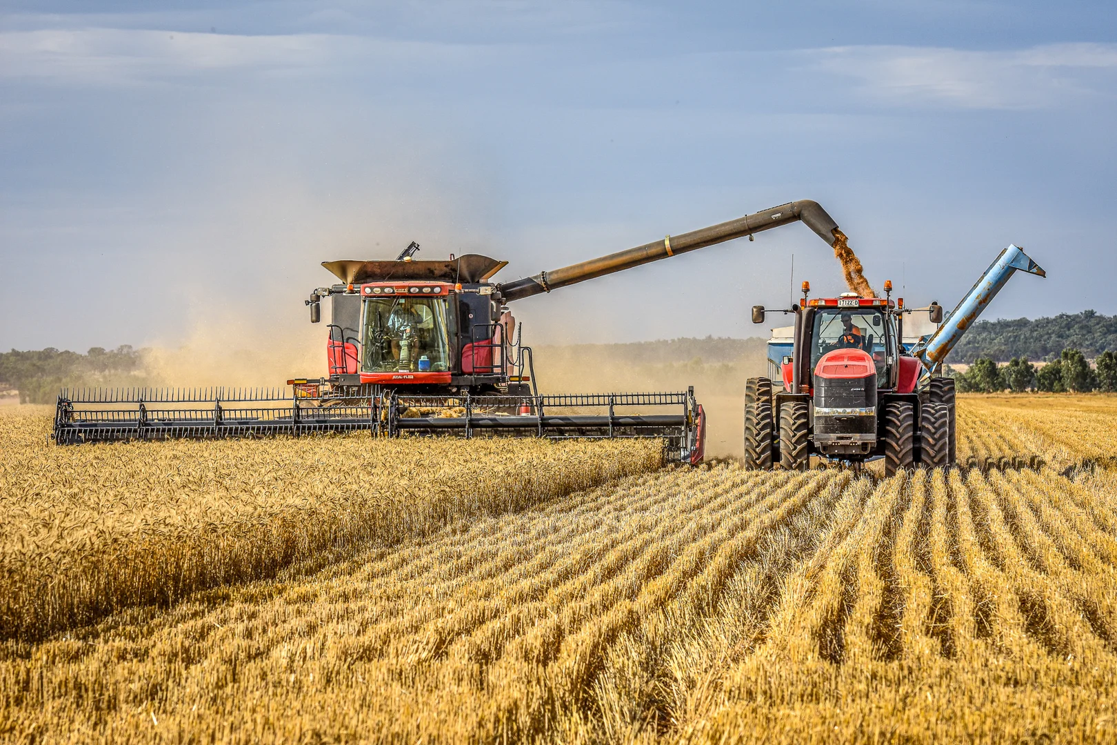 Additional image 10 of Weise Aggregation, Beckom, Ardlethan,, Ariah Park NSW 2665