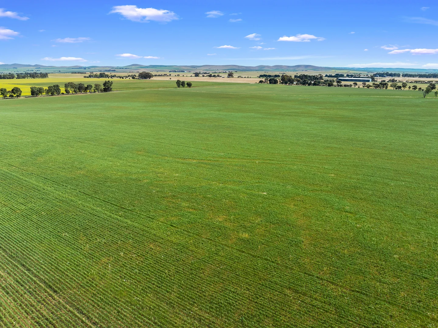 Additional image 6 of 1 Tohls Road, Booborowie SA 5417
