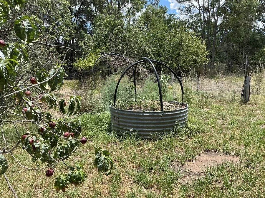 Additional image 25 of 976 Warkton, Coonabarabran NSW 2357