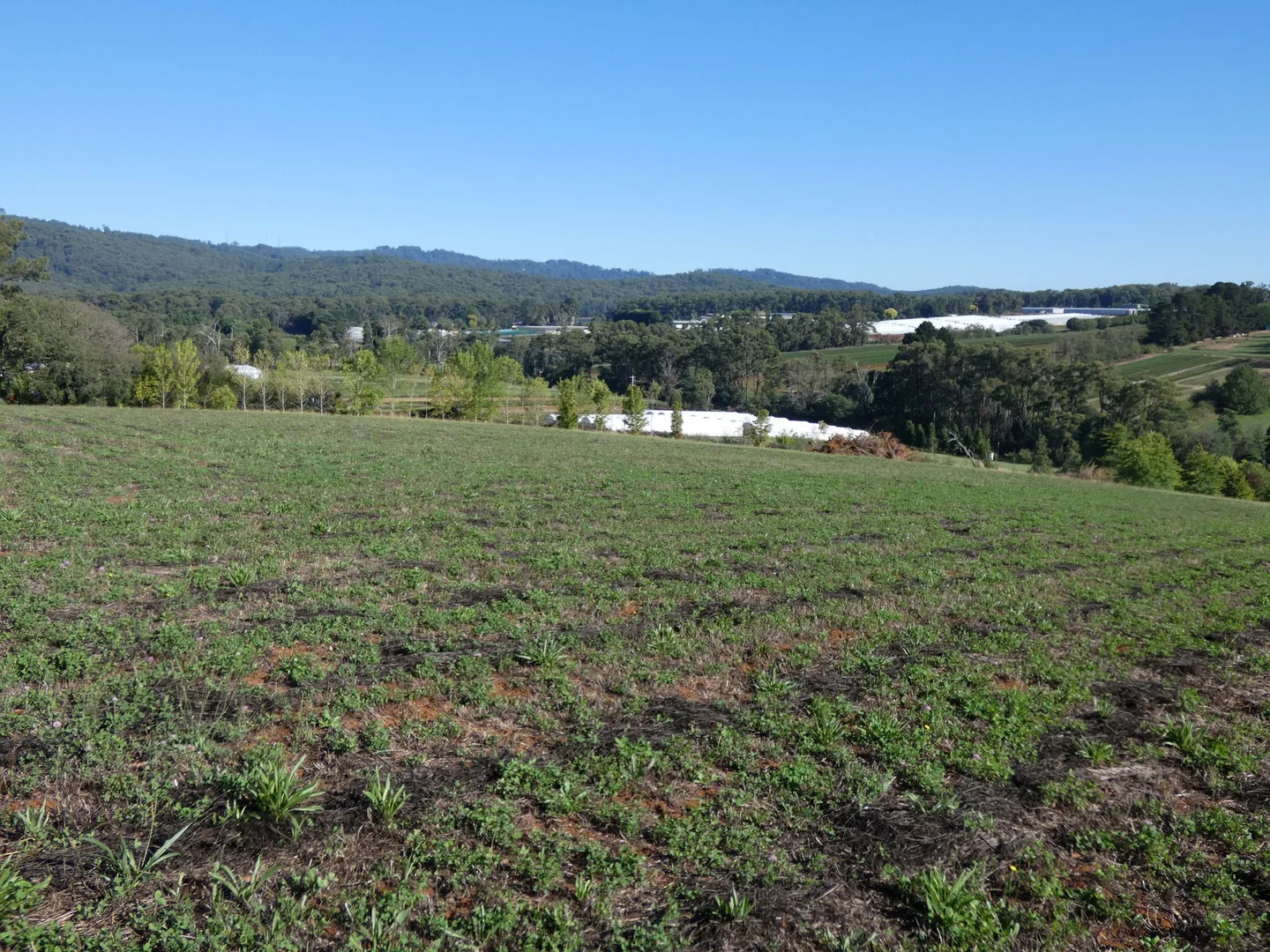 Additional image 4 of Lot 1/95 Macclesfield Road, Monbulk VIC 3793