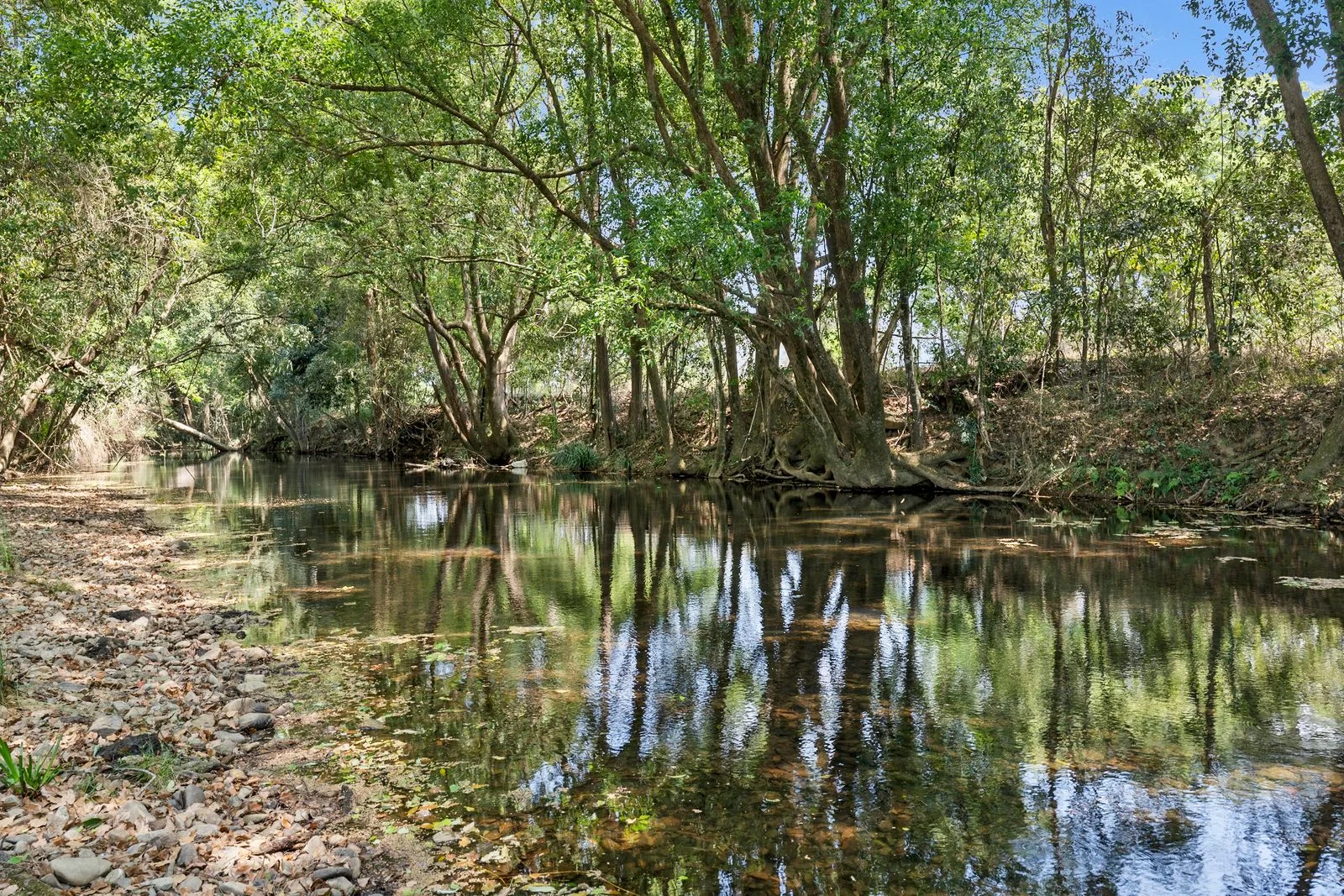 Additional image 7 of 981 Numinbah Road, Crystal Creek NSW 2484