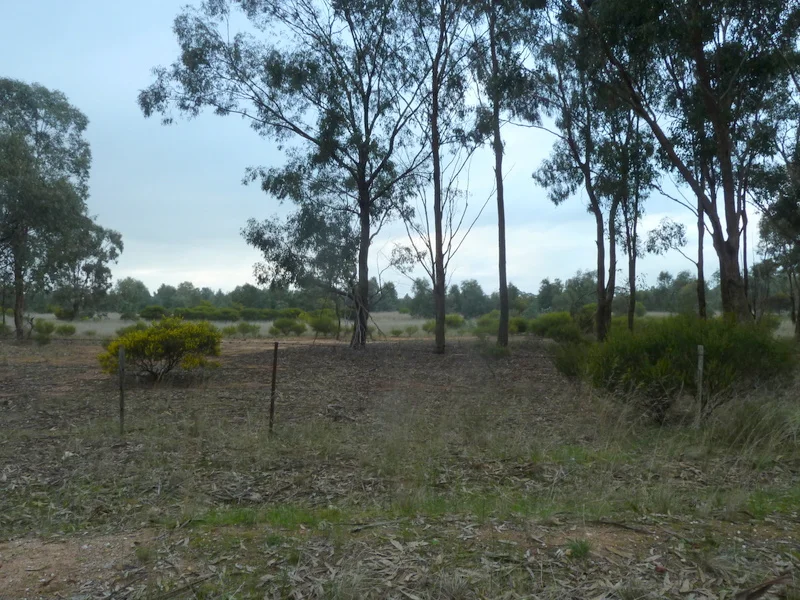 Additional image 11 of Lot 50 Wedderburn Junction East-Fiery Flat Road, Wedderburn VIC 3518