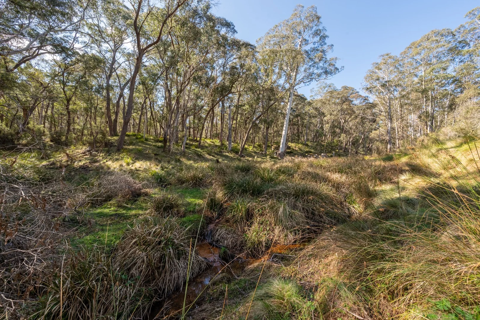 Additional image 7 of 153 Blue Bush Road, Wyanbene NSW 2622