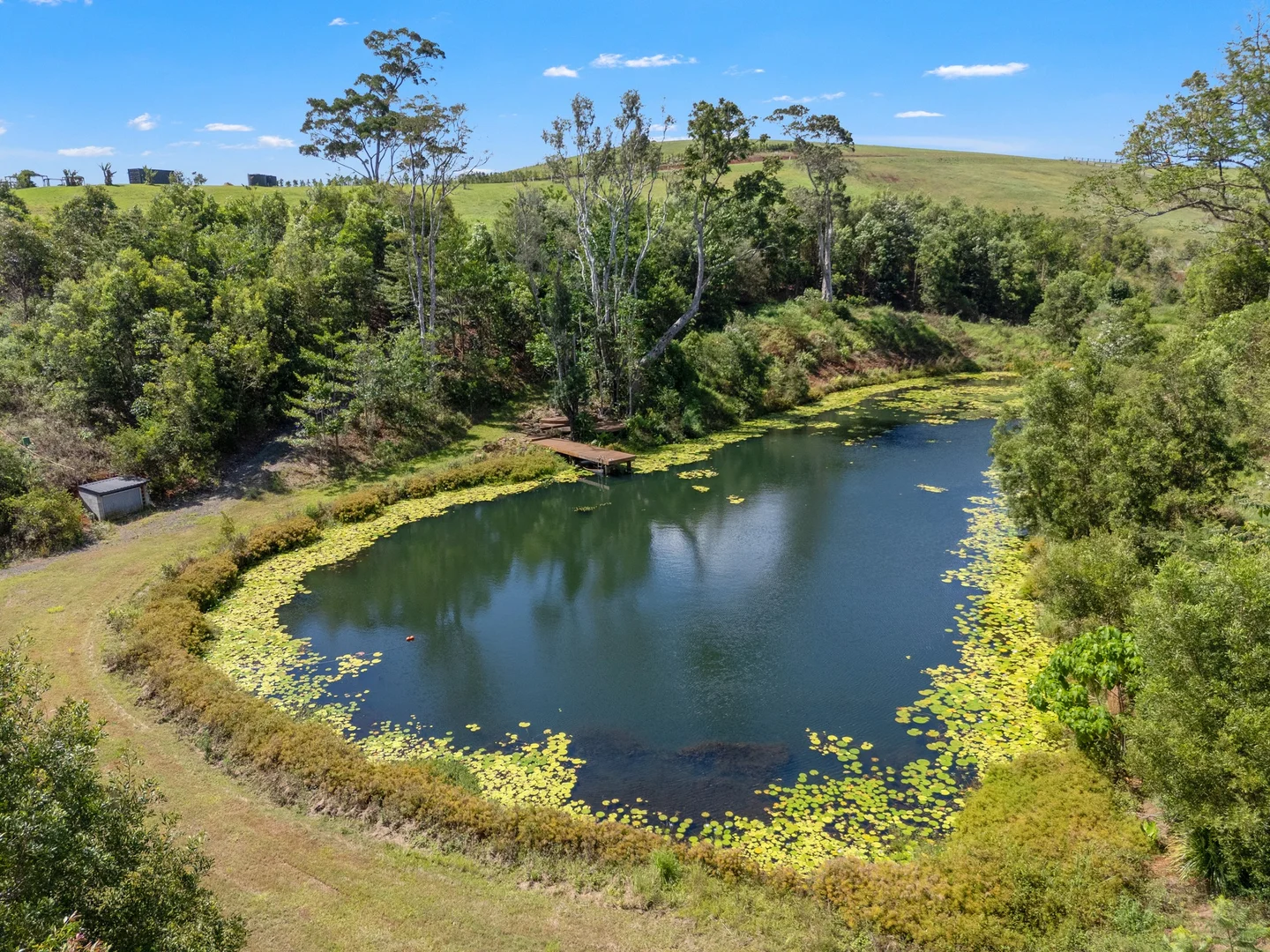 Additional image 20 of 1141 Friday Hut Road, Binna Burra NSW 2479