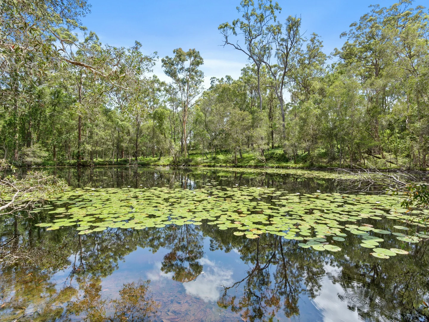 Additional image 8 of 47 Worley Drive, Gilston QLD 4211