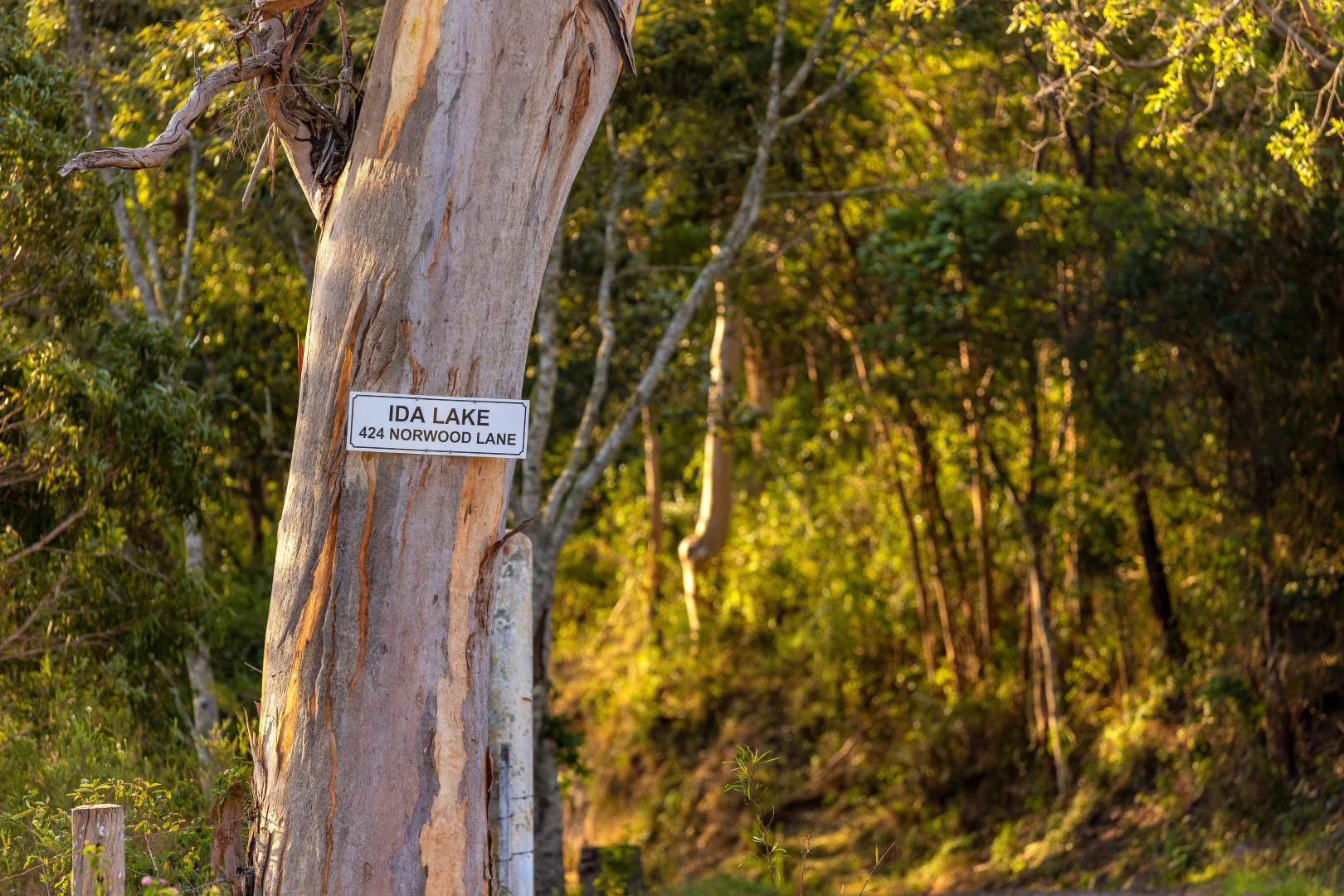 Additional image 35 of 424 Norwood Lane, Mount George NSW 2424