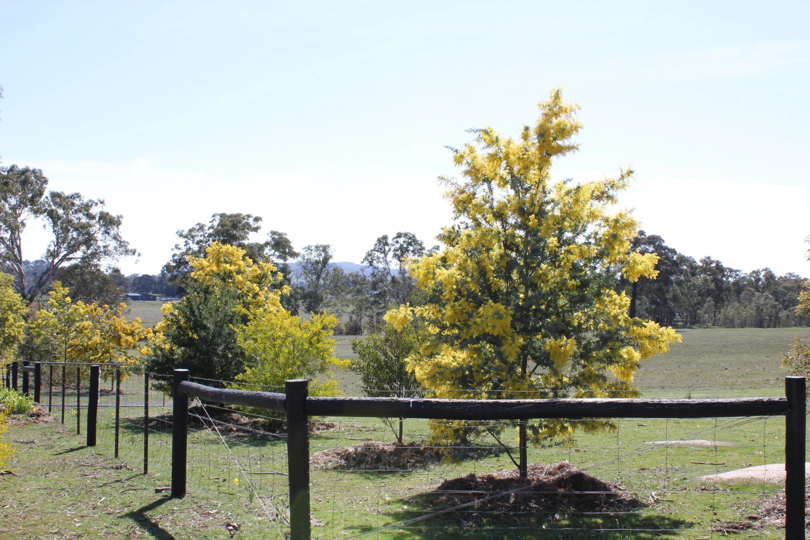 Additional image 3 of Lot 46 & 47 Pollards Road, Elphinstone VIC 3448