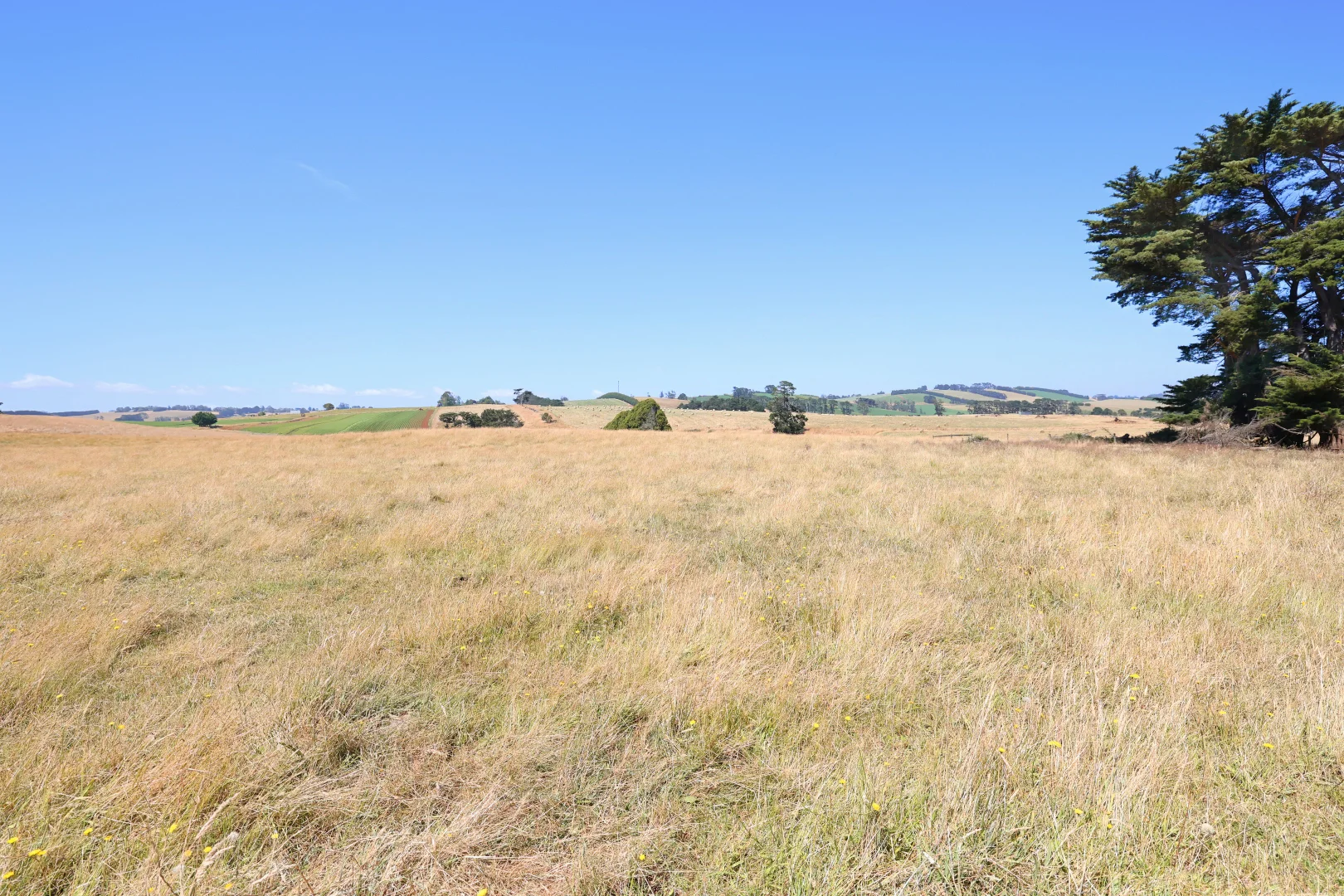 Additional image 21 of Lot 2/107 Cooks Road, Thorpdale VIC 3835