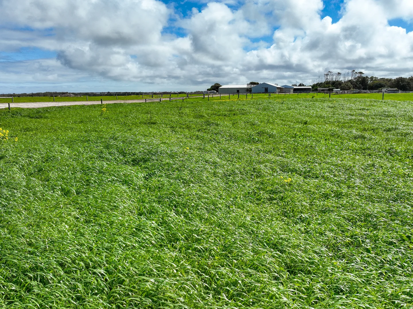 Additional image 7 of Spehrs Road, Nene Valley SA 5291