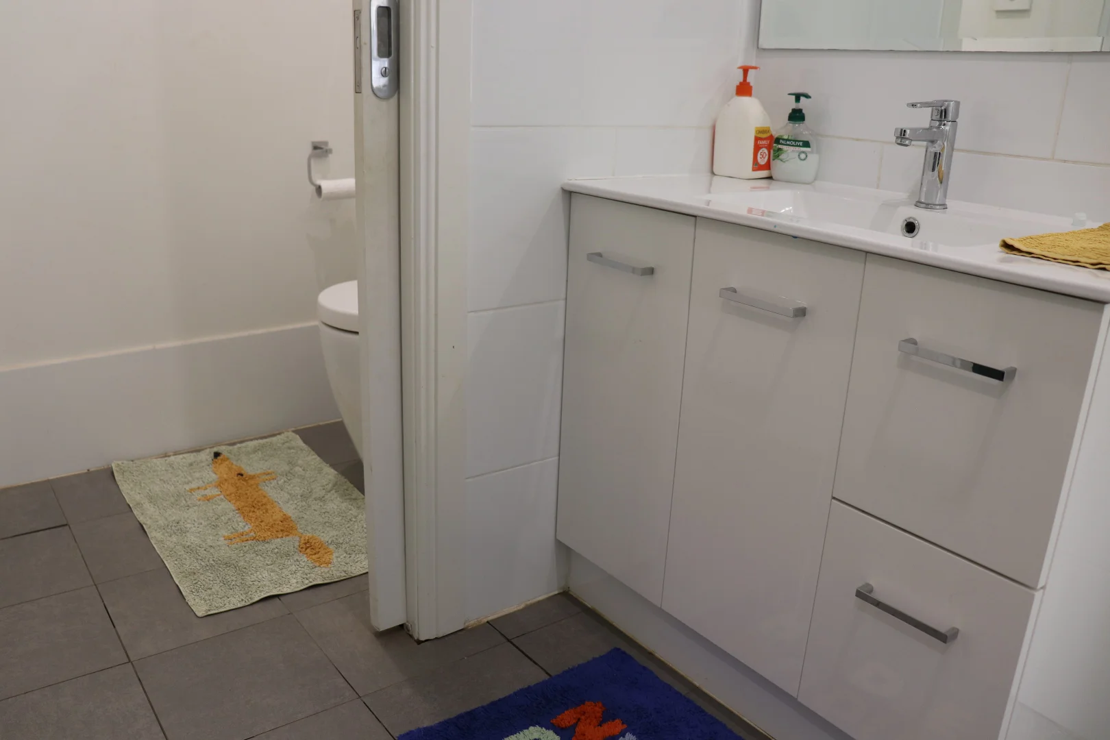 Additional image 29 of 229 Elliots Lane, Forbes NSW 2871